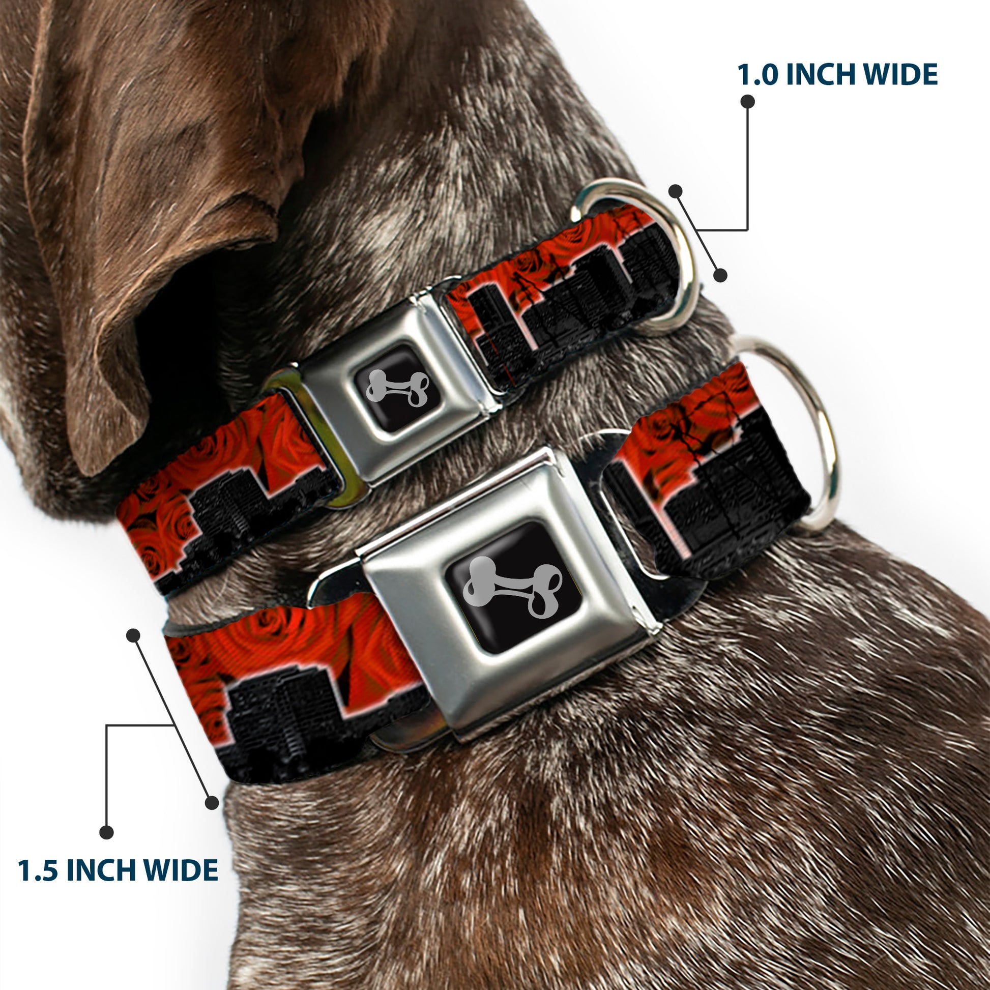 Dog Bone Seatbelt Buckle Collar - Portland Vivid Skyline Red Roses/Black Seatbelt Buckle Collars Buckle-Down