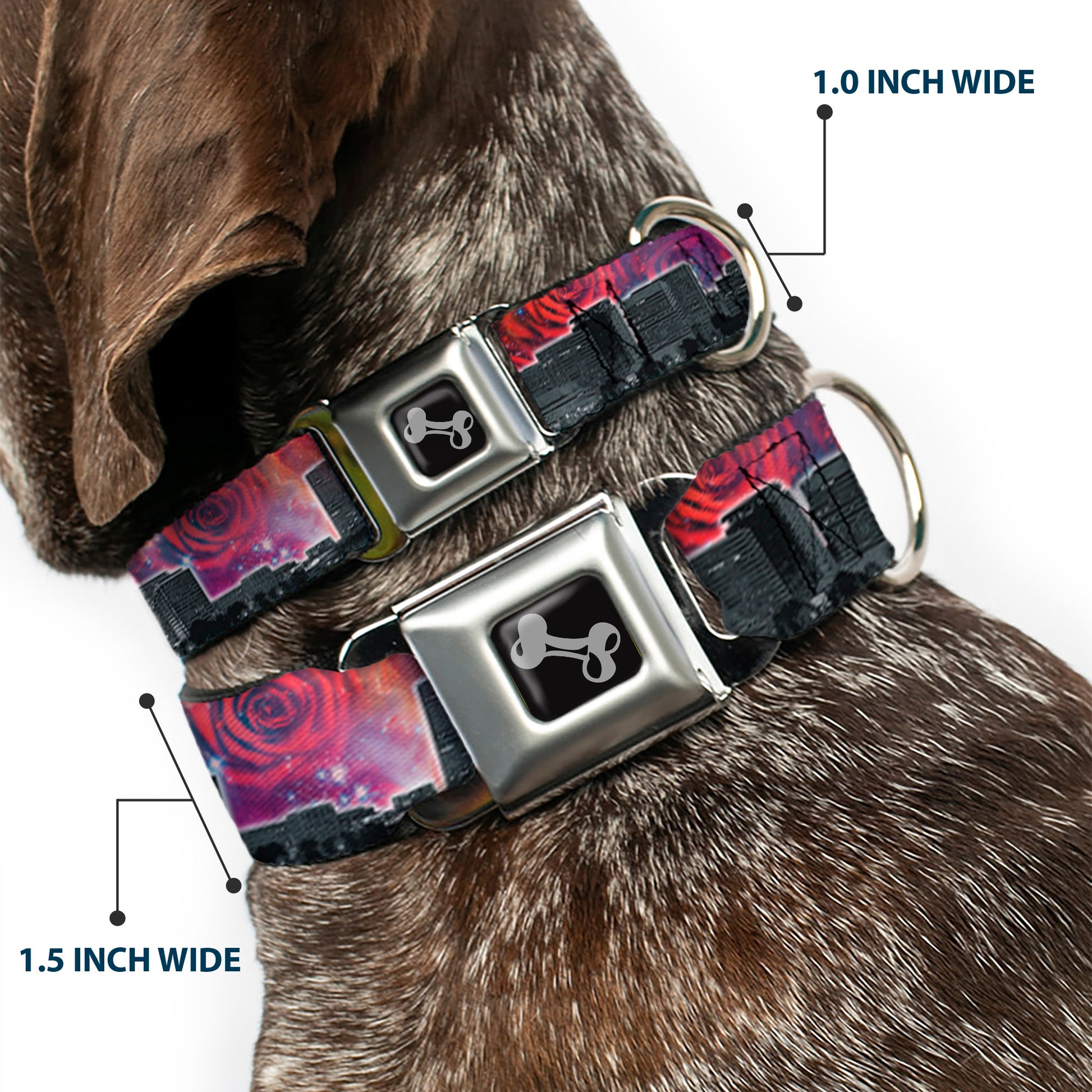 Dog Bone Seatbelt Buckle Collar - Portland Vivid Skyline Cosmic Roses Seatbelt Buckle Collars Buckle-Down
