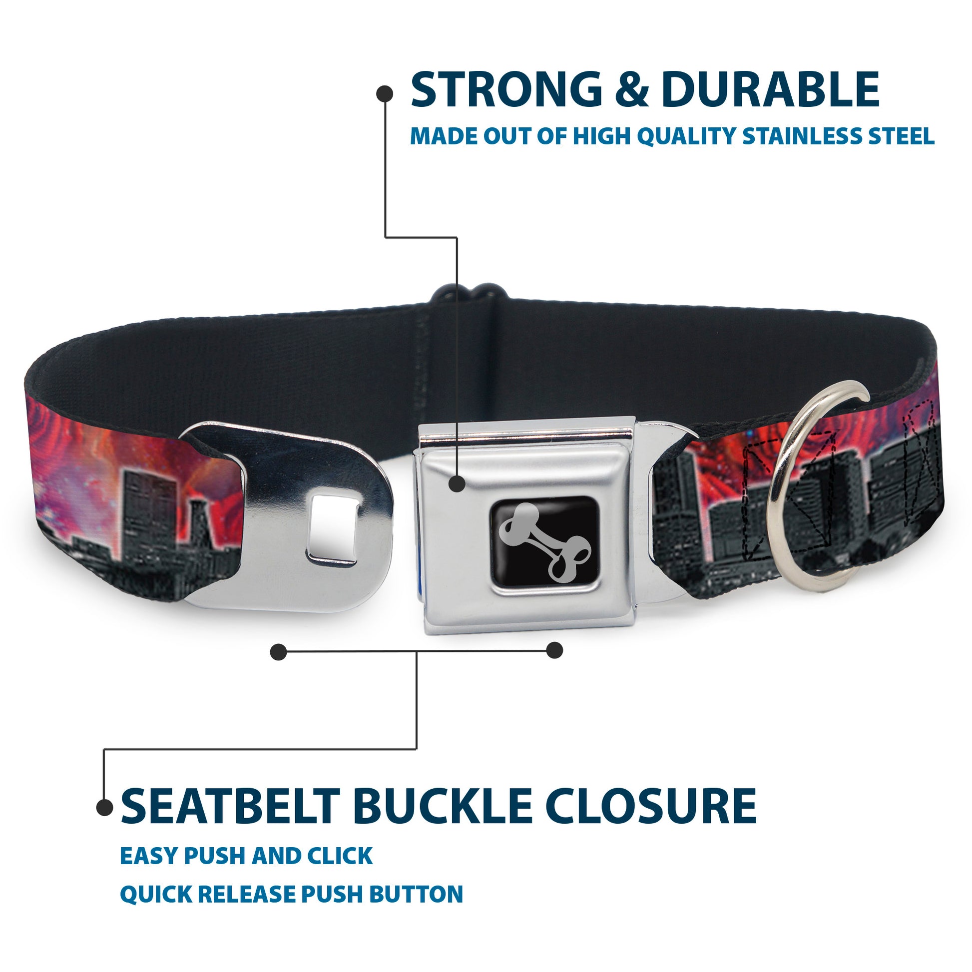 Dog Bone Seatbelt Buckle Collar - Portland Vivid Skyline Cosmic Roses Seatbelt Buckle Collars Buckle-Down