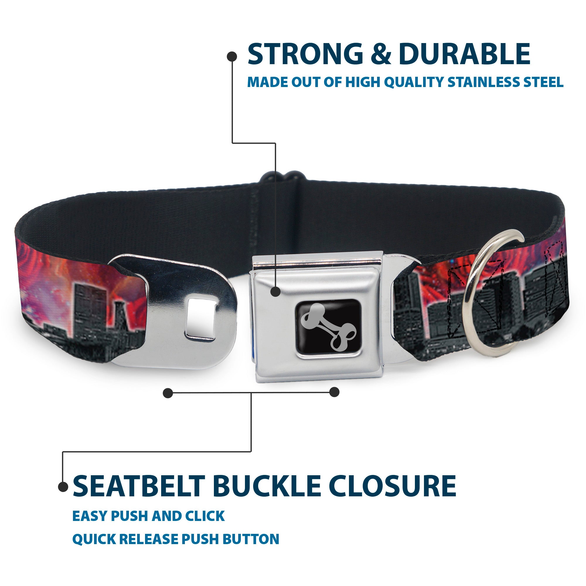 Dog Bone Seatbelt Buckle Collar - Portland Vivid Skyline Cosmic Roses Seatbelt Buckle Collars Buckle-Down