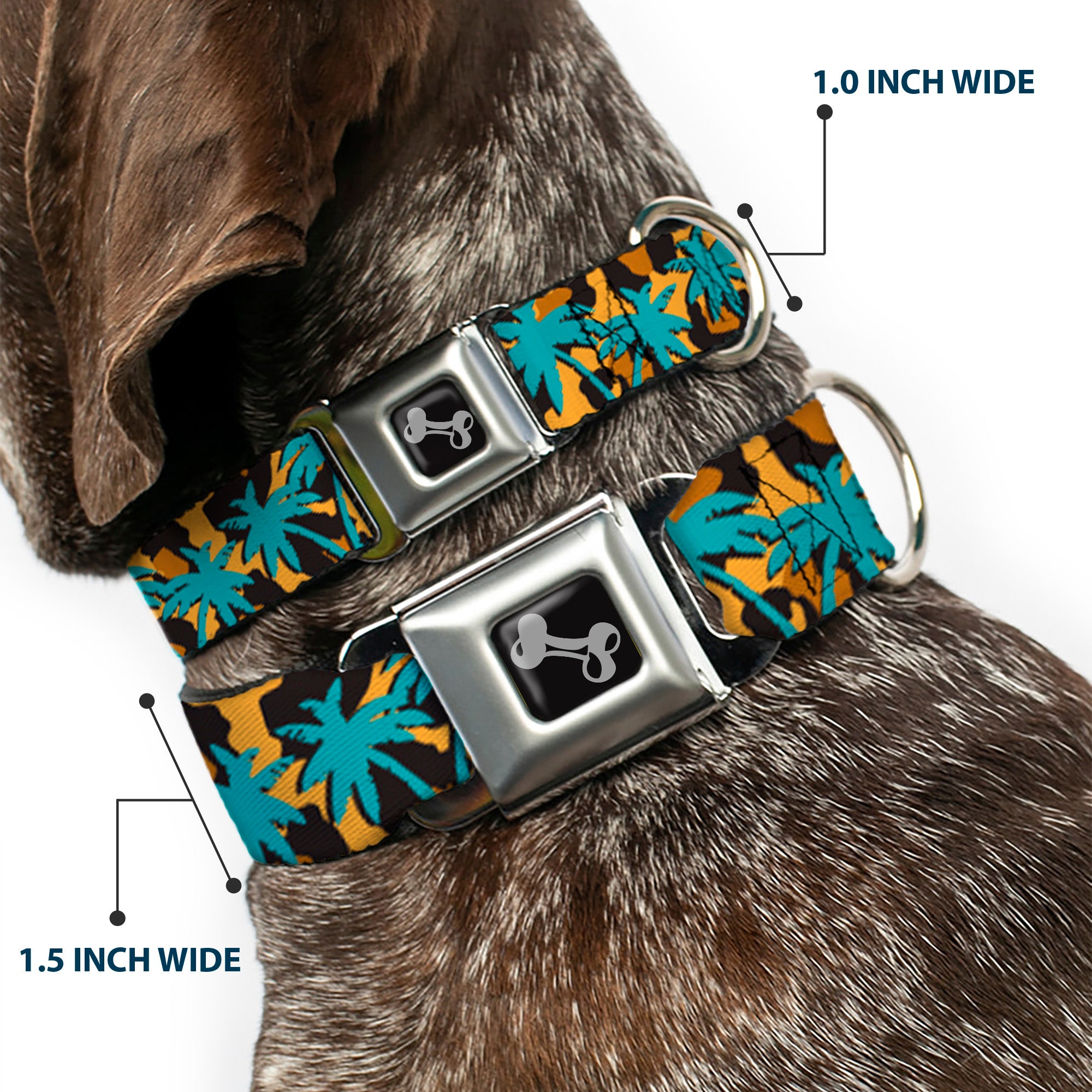 Dog Bone Seatbelt Buckle Collar - Palm Tree Silhouette Leopard Brown/Turquoise Seatbelt Buckle Collars Buckle-Down
