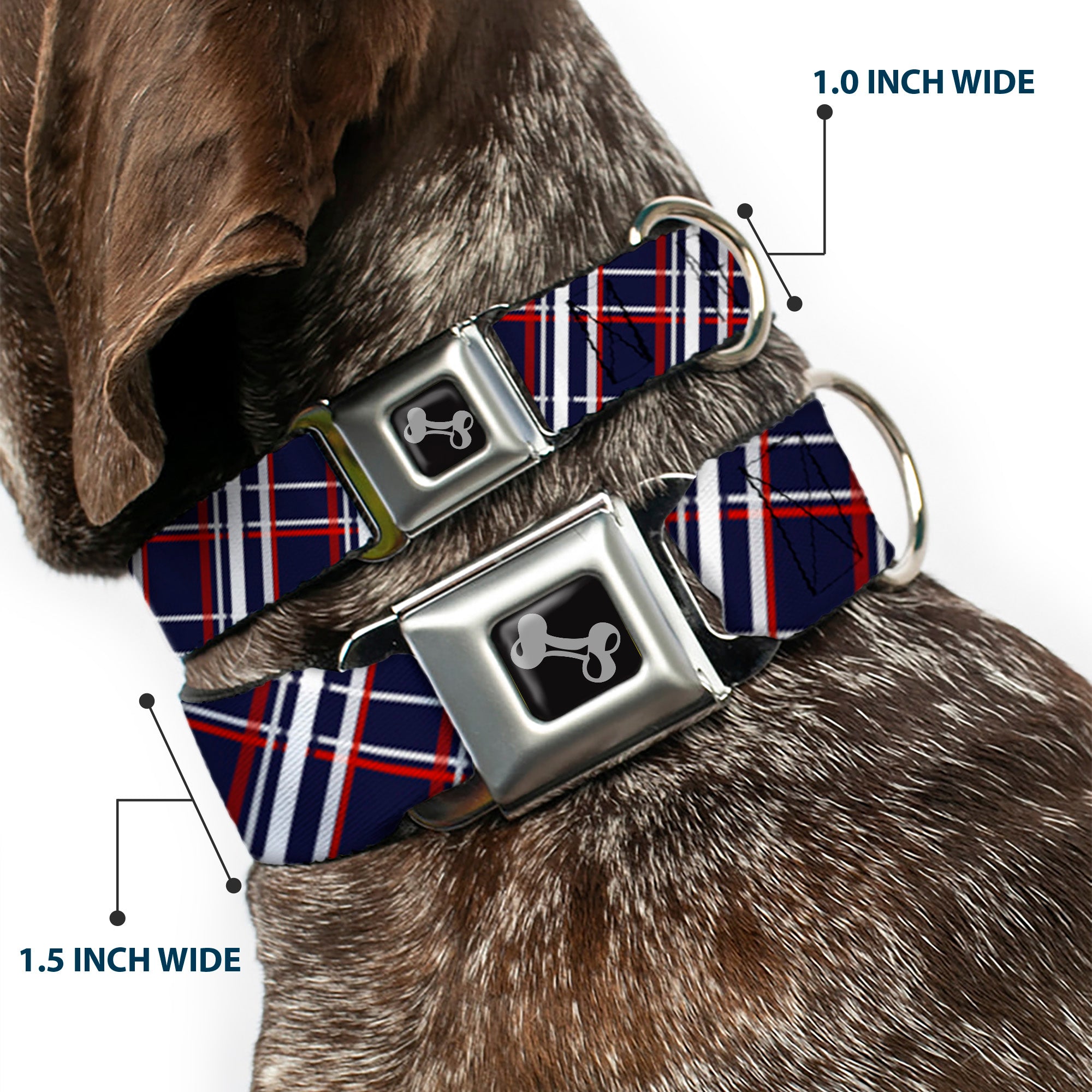 Dog Bone Seatbelt Buckle Collar - Plaid X Blue/White/Red Seatbelt Buckle Collars Buckle-Down