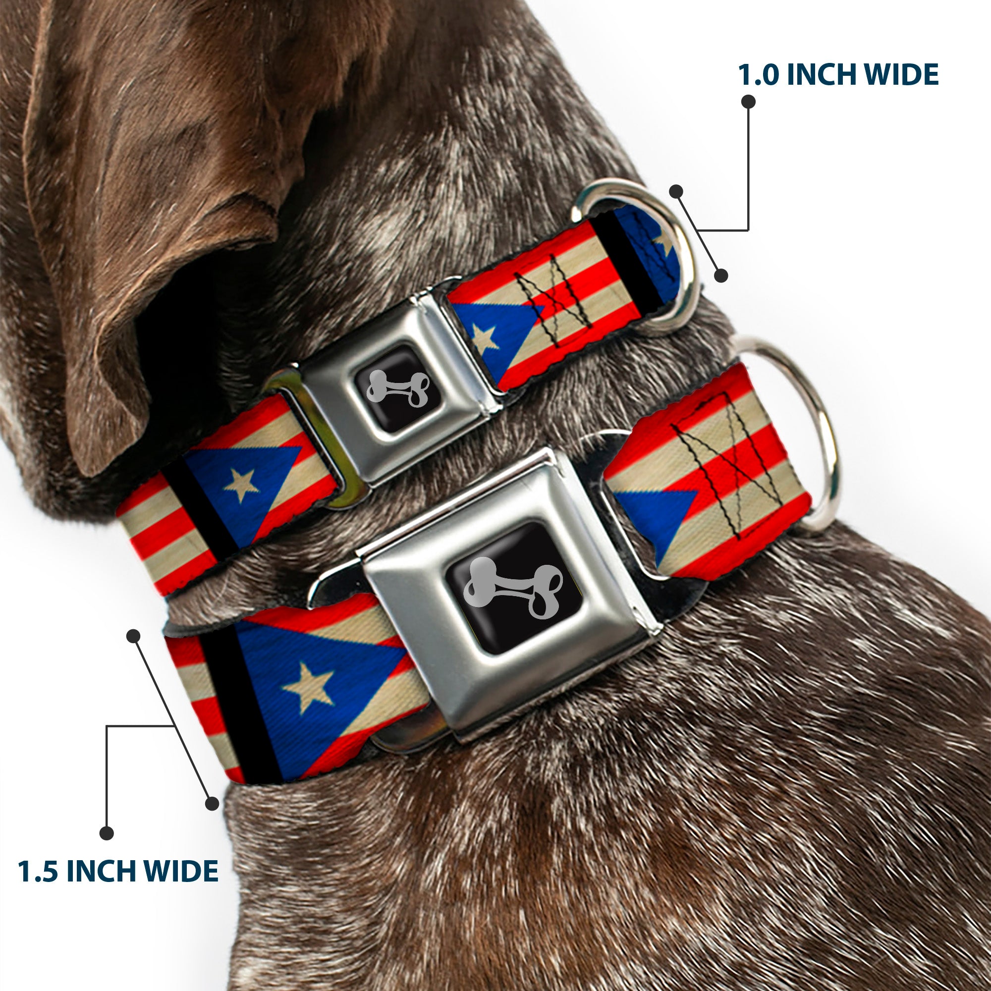 Dog Bone Seatbelt Buckle Collar - Puerto Rico Flag Weathered Seatbelt Buckle Collars Buckle-Down