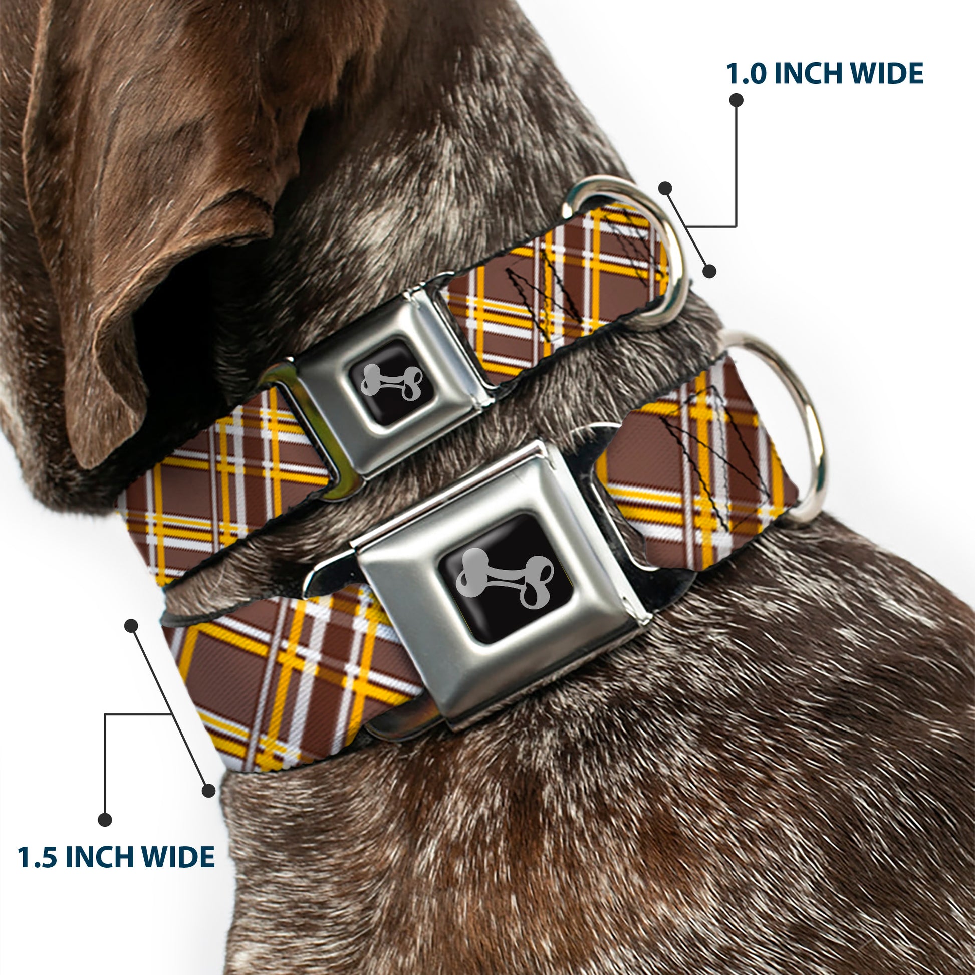 Dog Bone Seatbelt Buckle Collar - Plaid X Brown/White/Gold Seatbelt Buckle Collars Buckle-Down