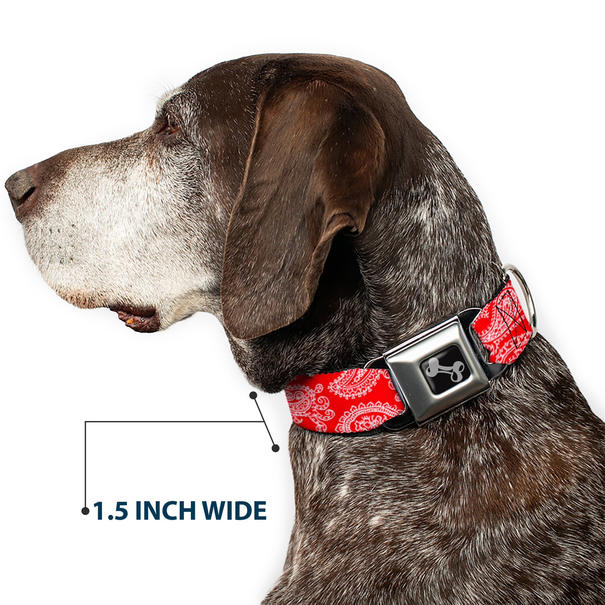 Dog Bone Seatbelt Buckle Collar - Paisley Red/White Seatbelt Buckle Collars Buckle-Down