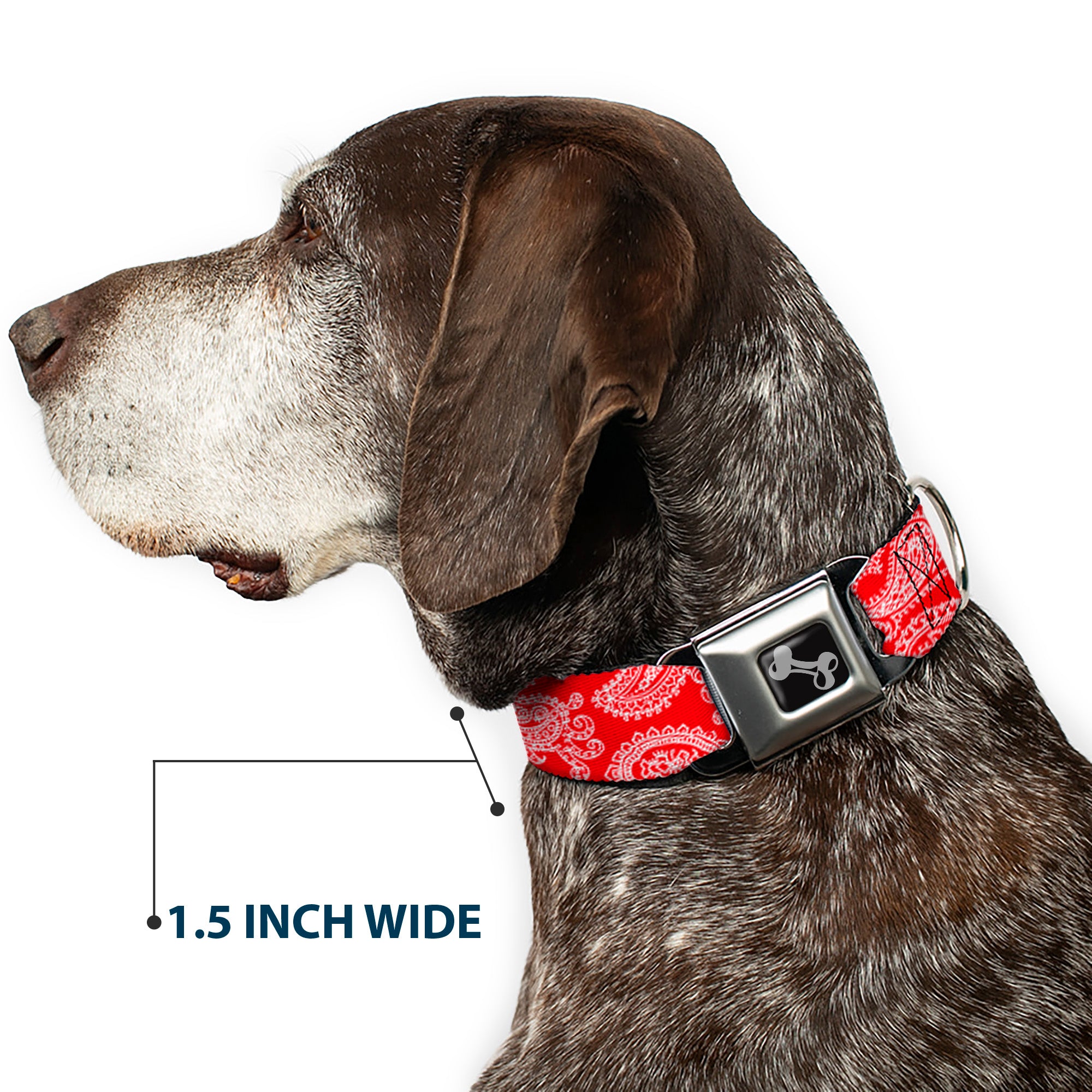 Dog Bone Seatbelt Buckle Collar - Paisley Red/White Seatbelt Buckle Collars Buckle-Down