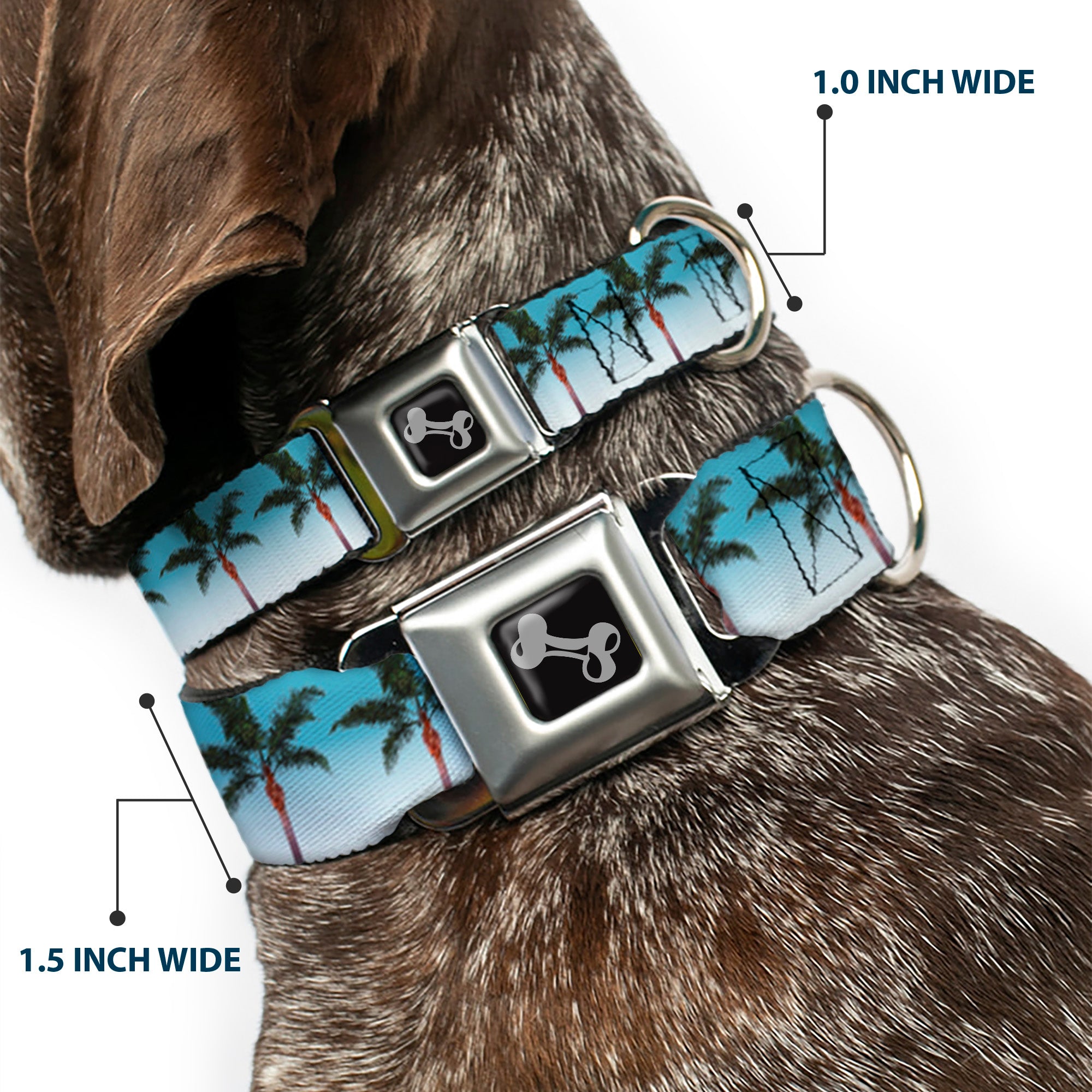 Dog Bone Seatbelt Buckle Collar - Palm Tree Skyline Seatbelt Buckle Collars Buckle-Down