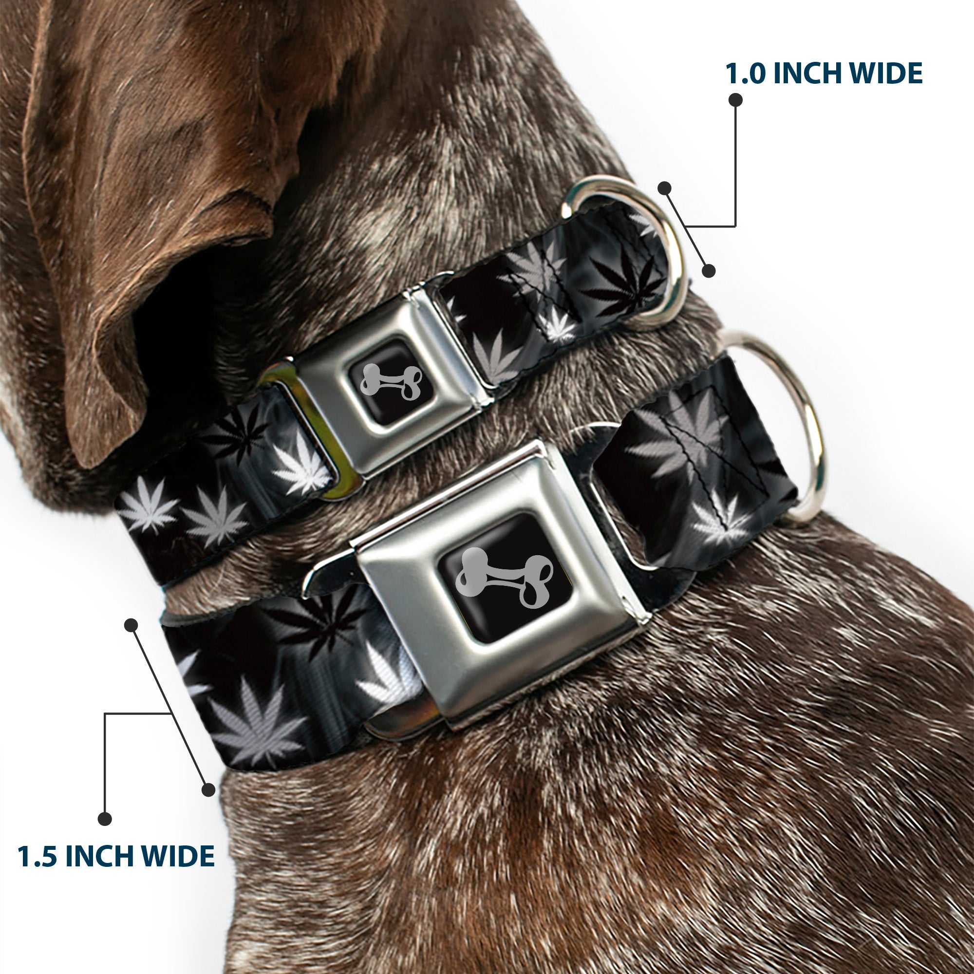 Buckle-Down Seatbelt Buckle Dog Collar - Pot Leaves/Smoke Black/Gray/White Seatbelt Buckle Collars Buckle-Down