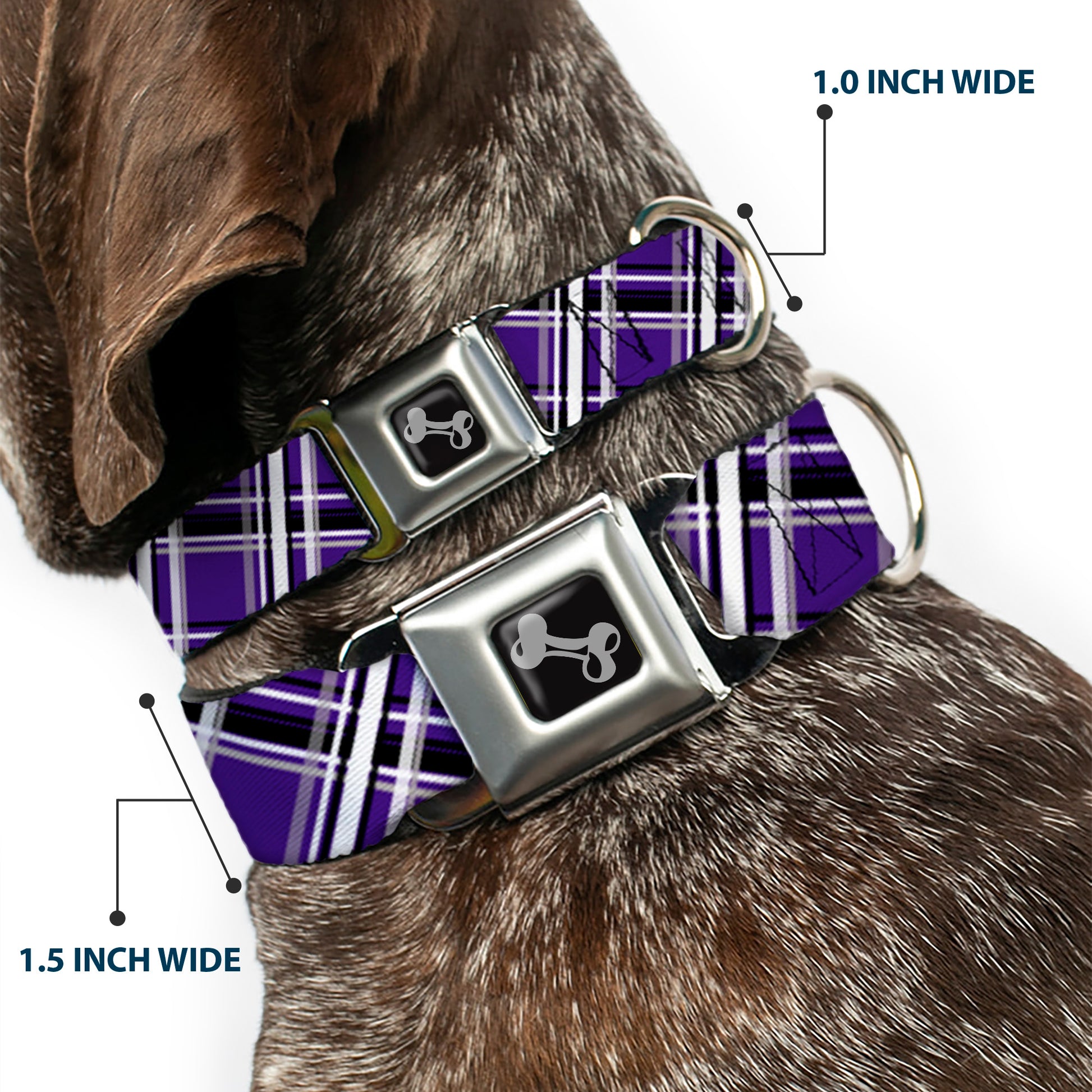 Dog Bone Seatbelt Buckle Collar - Plaid X2 Purple/Gray/White/Black Seatbelt Buckle Collars Buckle-Down