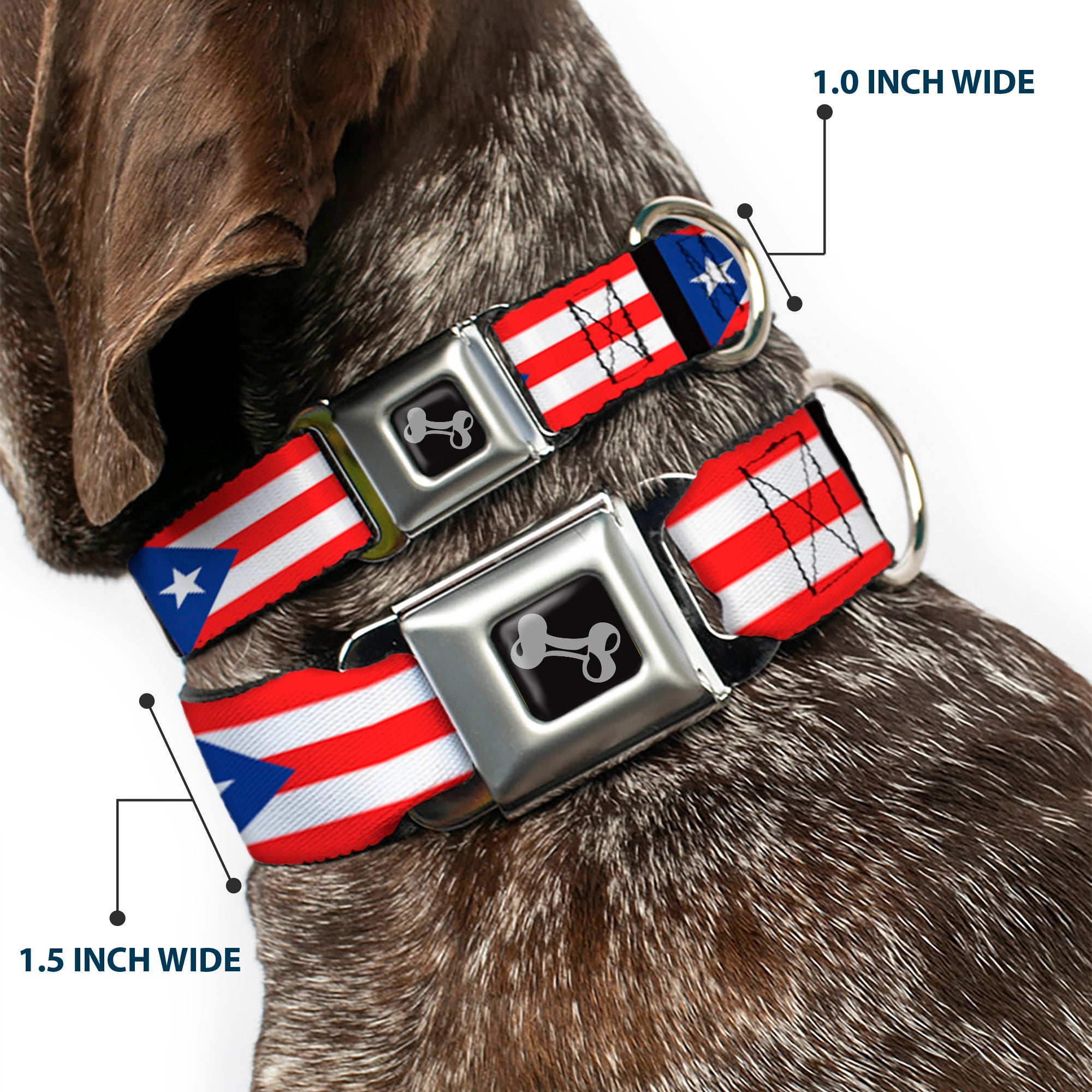Dog Bone Seatbelt Buckle Collar - Puerto Rico Flag Repeat/Black Seatbelt Buckle Collars Buckle-Down