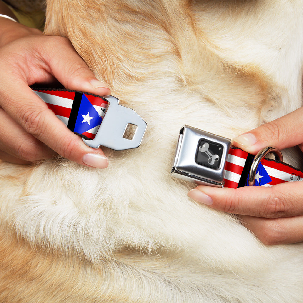 Dog Bone Seatbelt Buckle Collar - Puerto Rico Flag Repeat/Black Seatbelt Buckle Collars Buckle-Down