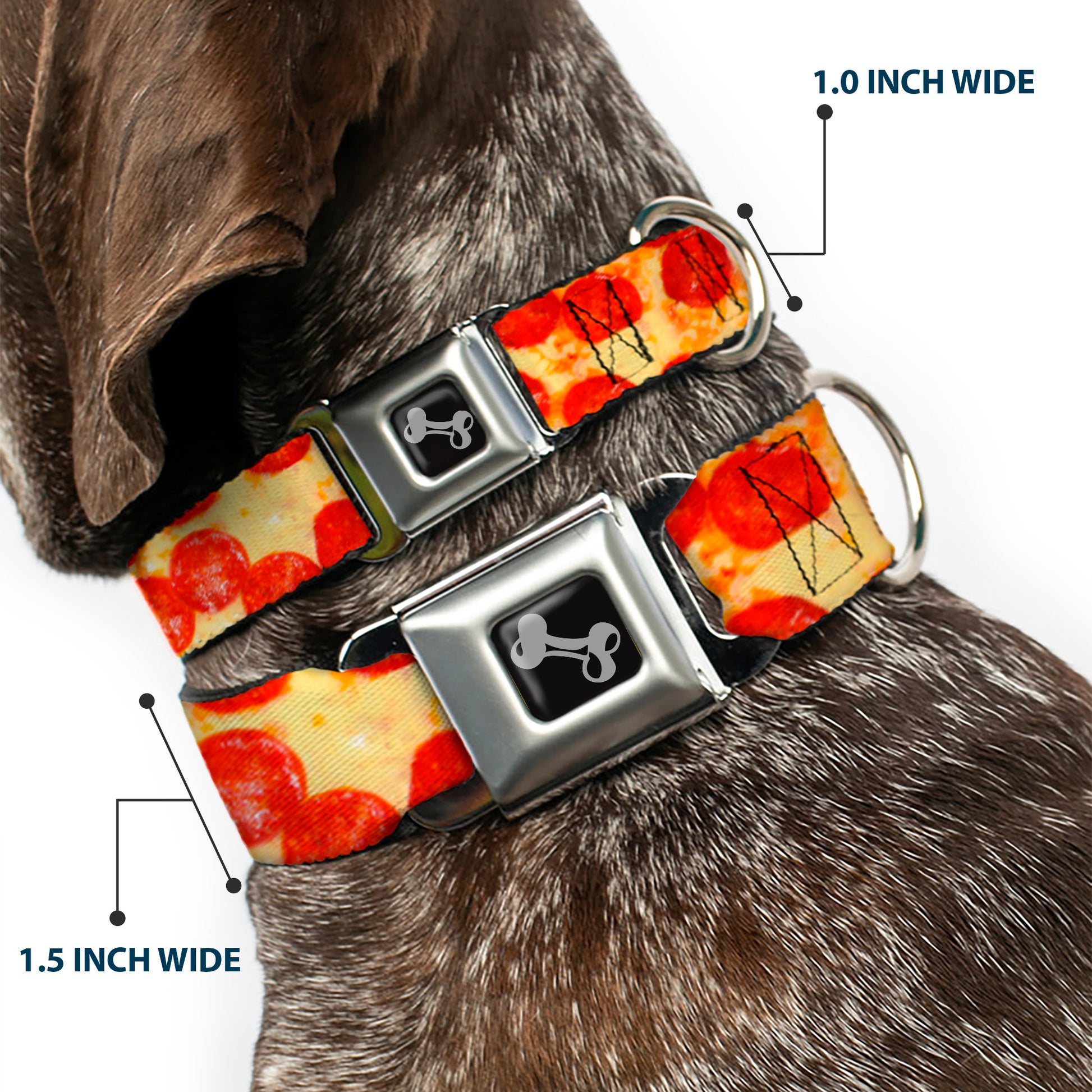 Dog Bone Seatbelt Buckle Collar - Pepperoni Pizza Vivid Seatbelt Buckle Collars Buckle-Down