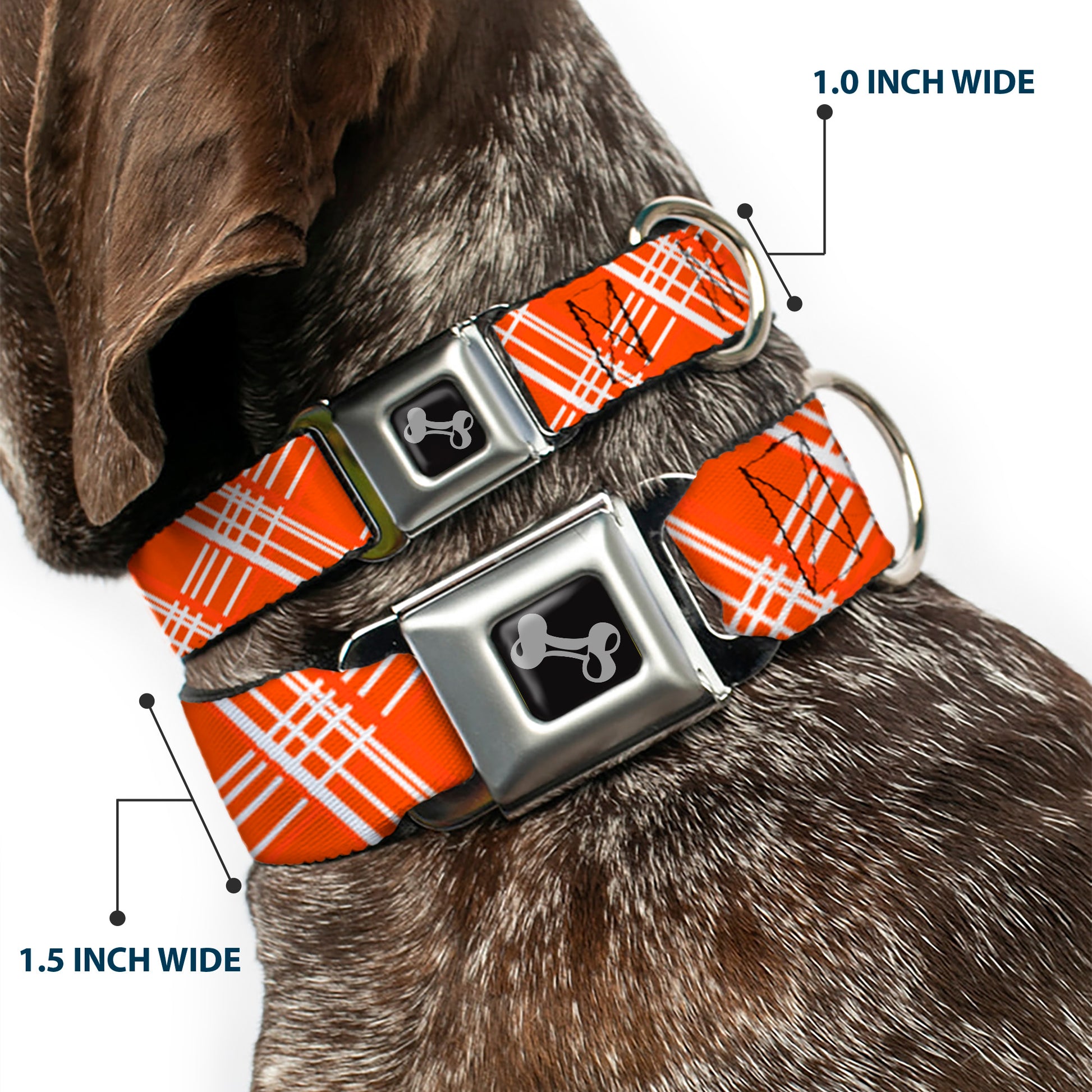 Dog Bone Seatbelt Buckle Collar - Plaid X4 Oranges/White Seatbelt Buckle Collars Buckle-Down