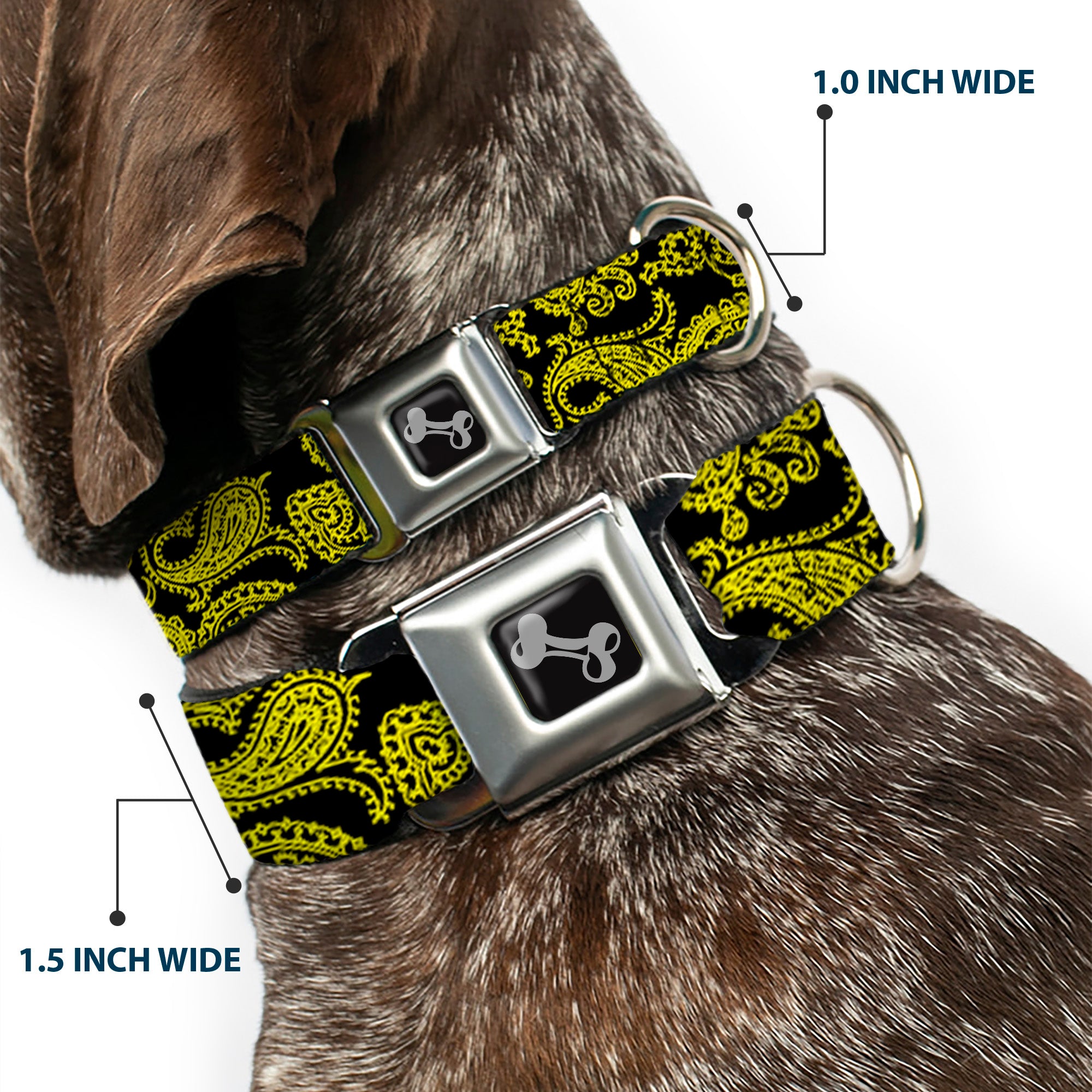 Dog Bone Seatbelt Buckle Collar - Paisley Black/Neon Yellow Seatbelt Buckle Collars Buckle-Down
