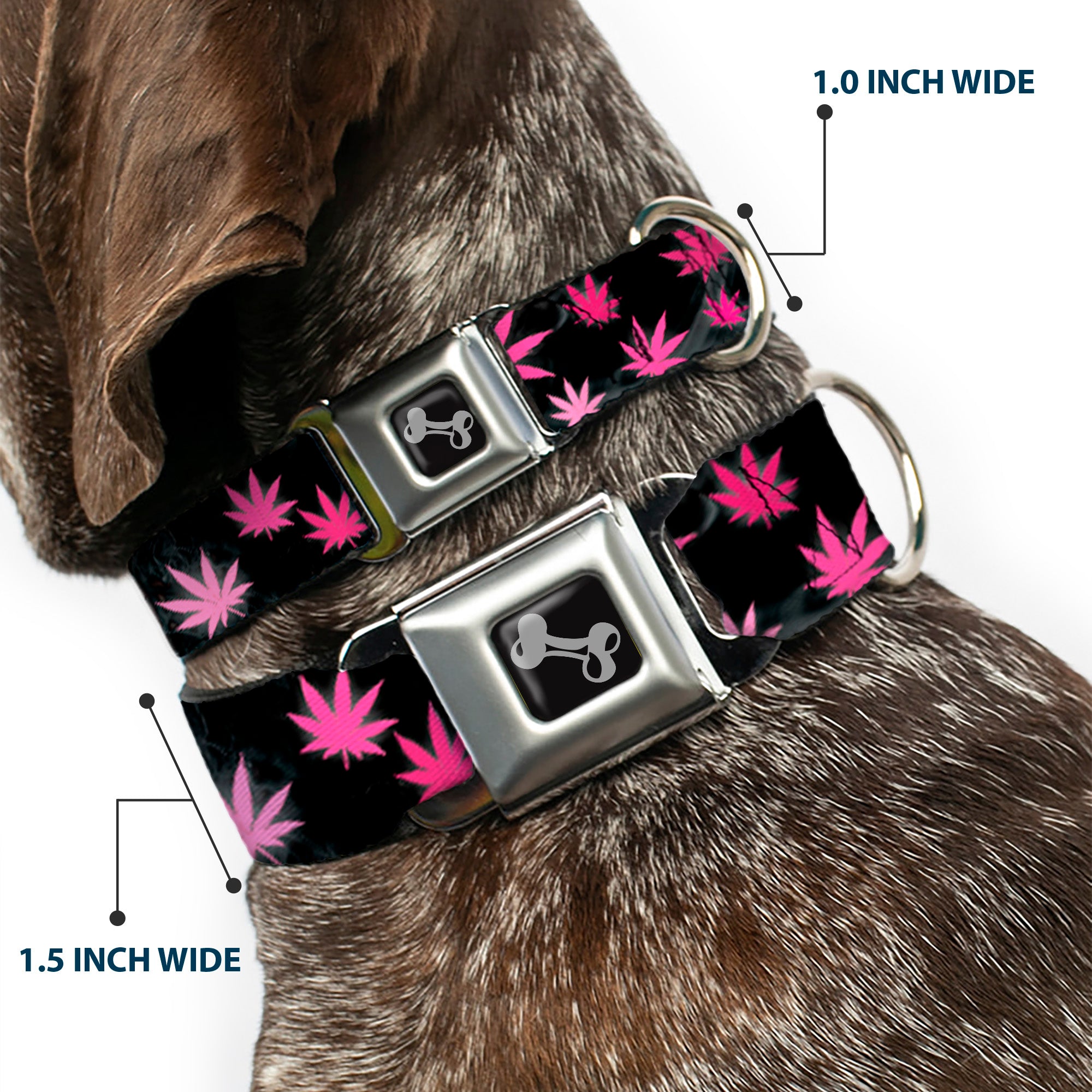 Buckle-Down Seatbelt Buckle Dog Collar - Pot Leaves/Smoke Black/Pink/White Seatbelt Buckle Collars Buckle-Down