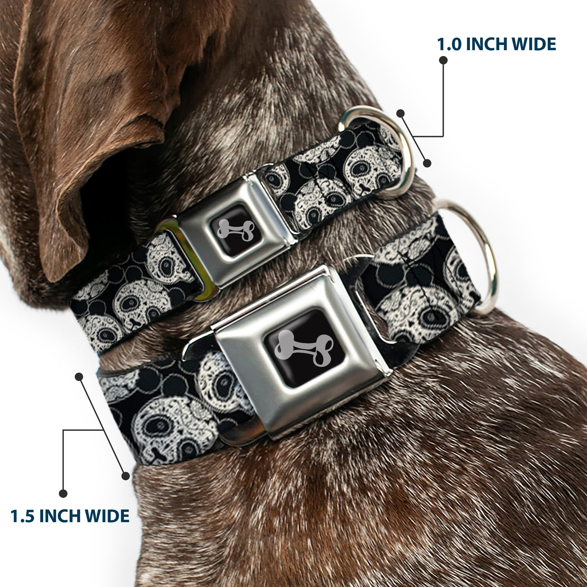 Dog Bone Seatbelt Buckle Collar - Panda Bear Sugar Skull Scattered Black/White Seatbelt Buckle Collars Buckle-Down