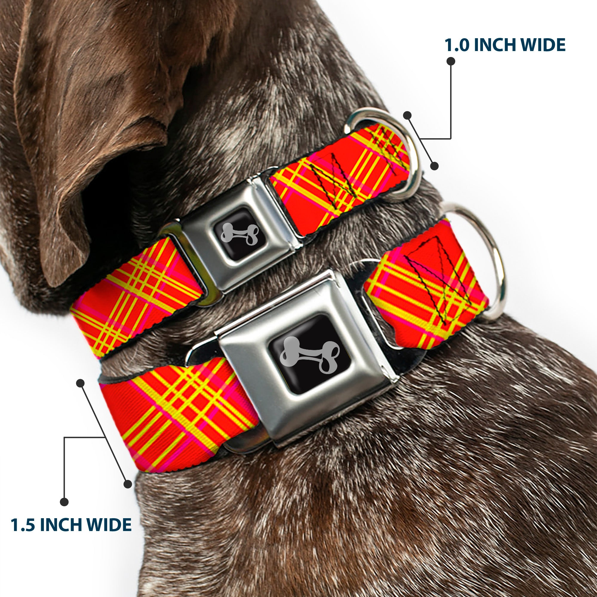 Dog Bone Black/Silver Seatbelt Buckle Collar - Plaid X4 Fluorescent Oranges/Pinks/Yellow Seatbelt Buckle Collars Buckle-Down
