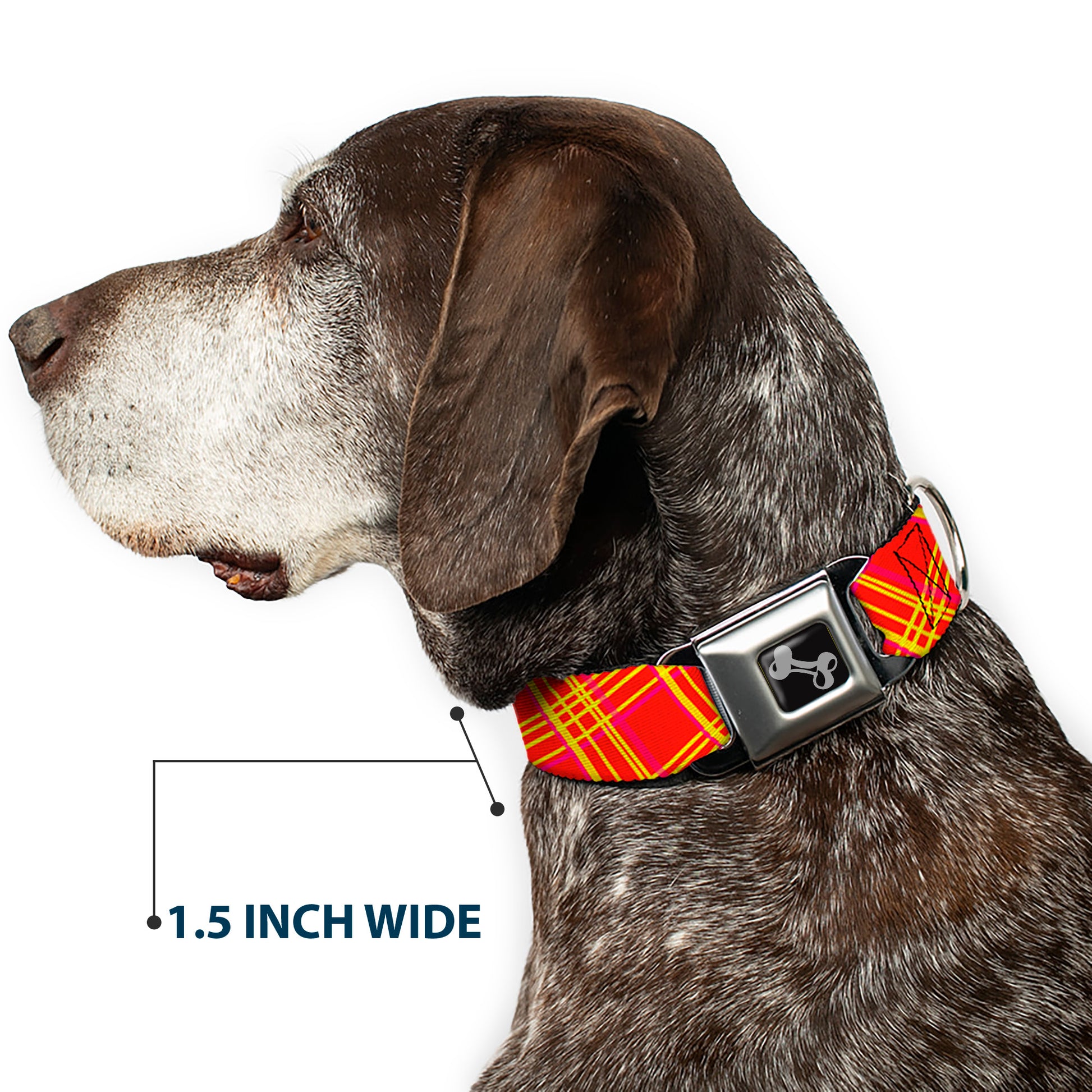 Dog Bone Black/Silver Seatbelt Buckle Collar - Plaid X4 Fluorescent Oranges/Pinks/Yellow Seatbelt Buckle Collars Buckle-Down