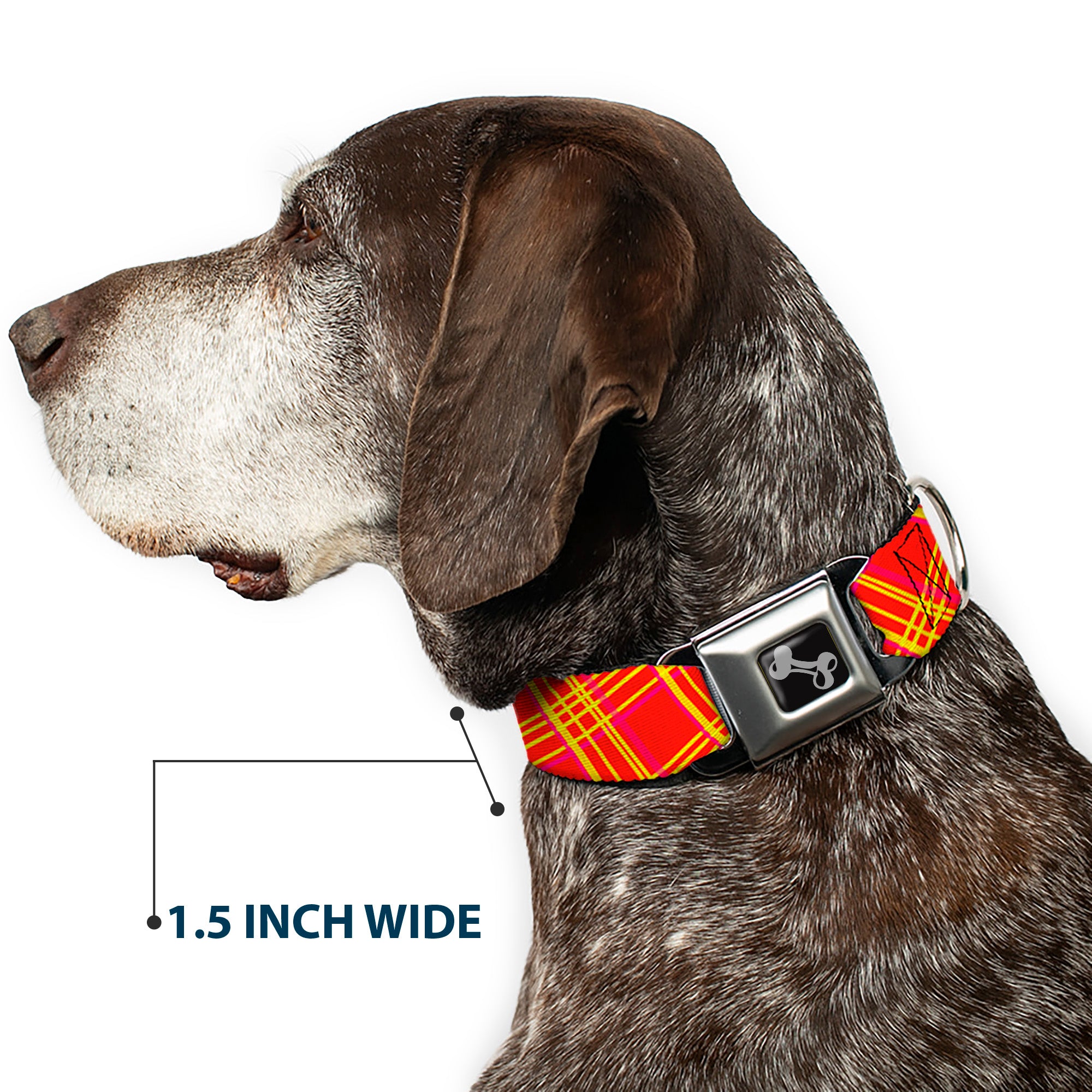 Dog Bone Black/Silver Seatbelt Buckle Collar - Plaid X4 Fluorescent Oranges/Pinks/Yellow Seatbelt Buckle Collars Buckle-Down