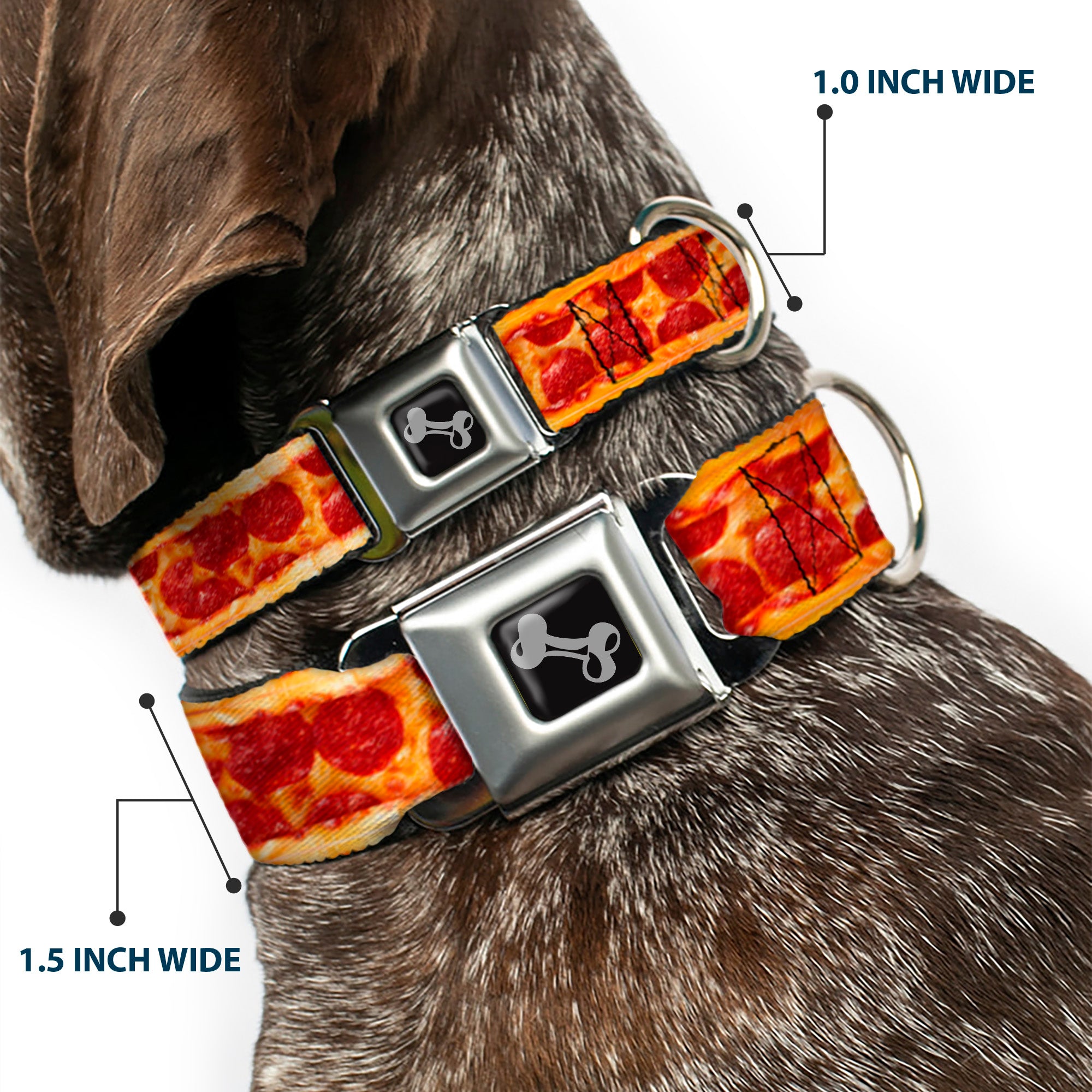 Dog Bone Seatbelt Buckle Collar - Pepperoni Pizza w/Crust Vivid Seatbelt Buckle Collars Buckle-Down