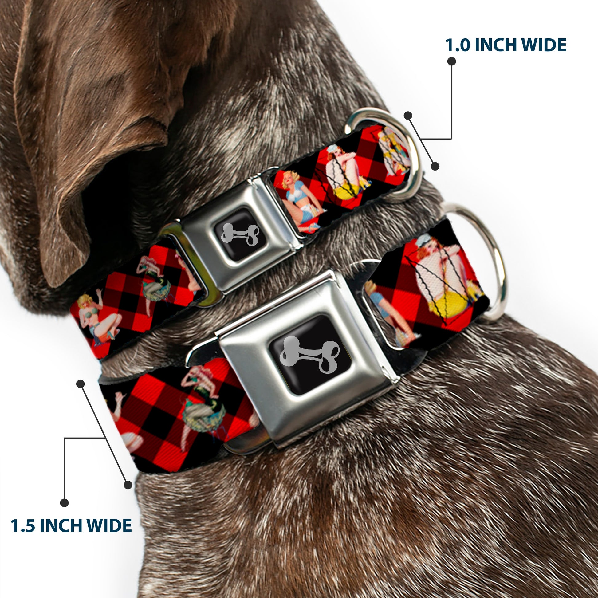 Dog Bone Seatbelt Buckle Collar - Pin Up Girl Poses Buffalo Plaid Blocks Black/Red Seatbelt Buckle Collars Buckle-Down