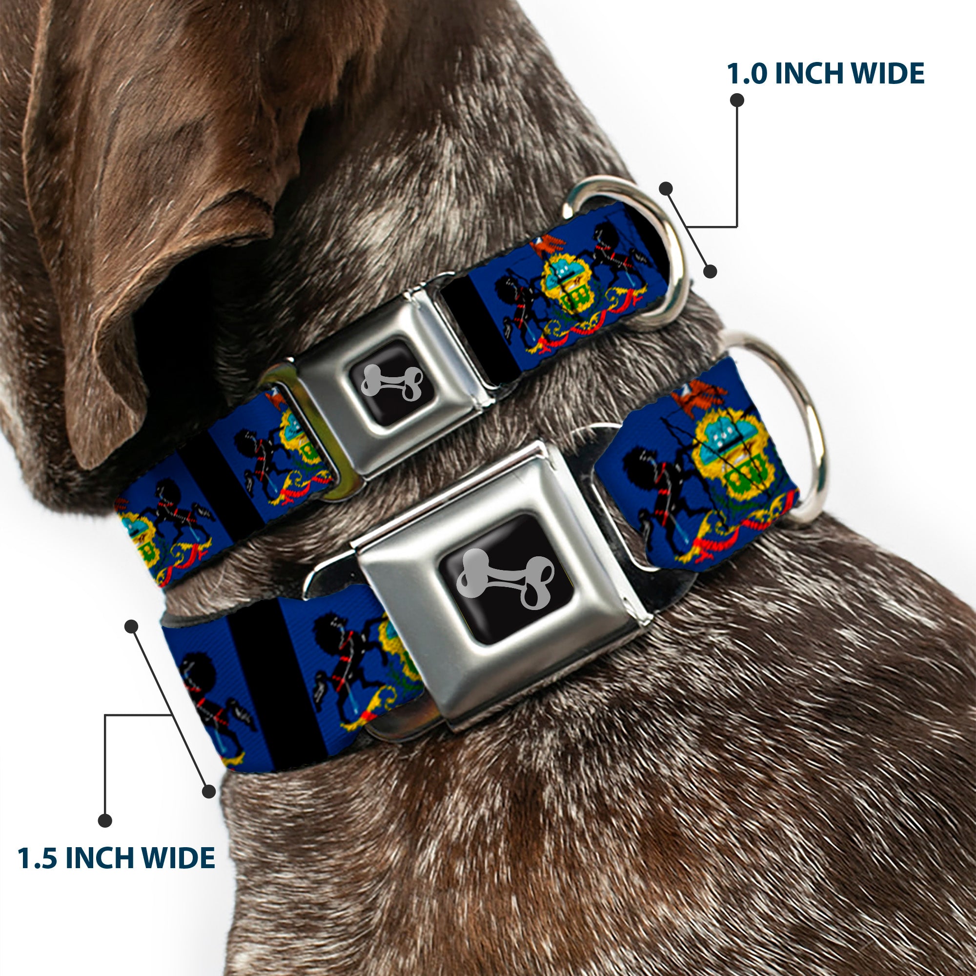 Dog Bone Seatbelt Buckle Collar - Pennsylvania Flags/Black Seatbelt Buckle Collars Buckle-Down