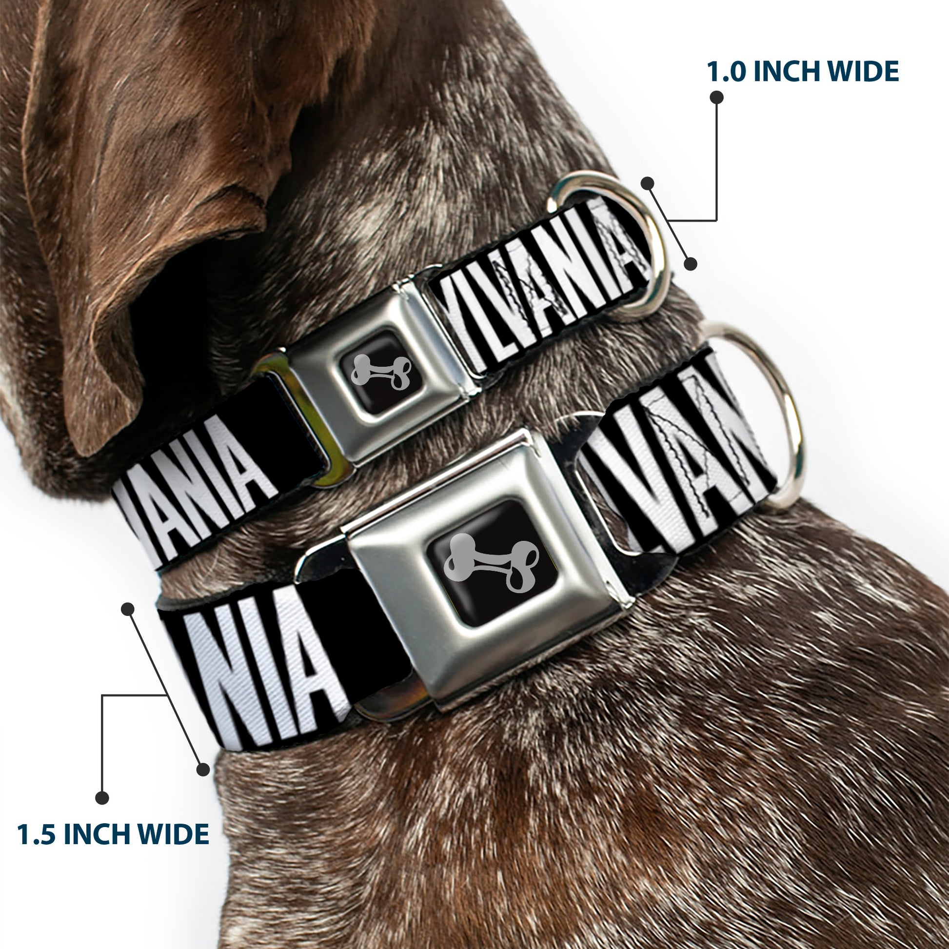 Dog Bone Seatbelt Buckle Collar - Pennsylvania Flag Silhouette WELCOME TO PENNSYLVANIA Seatbelt Buckle Collars Buckle-Down