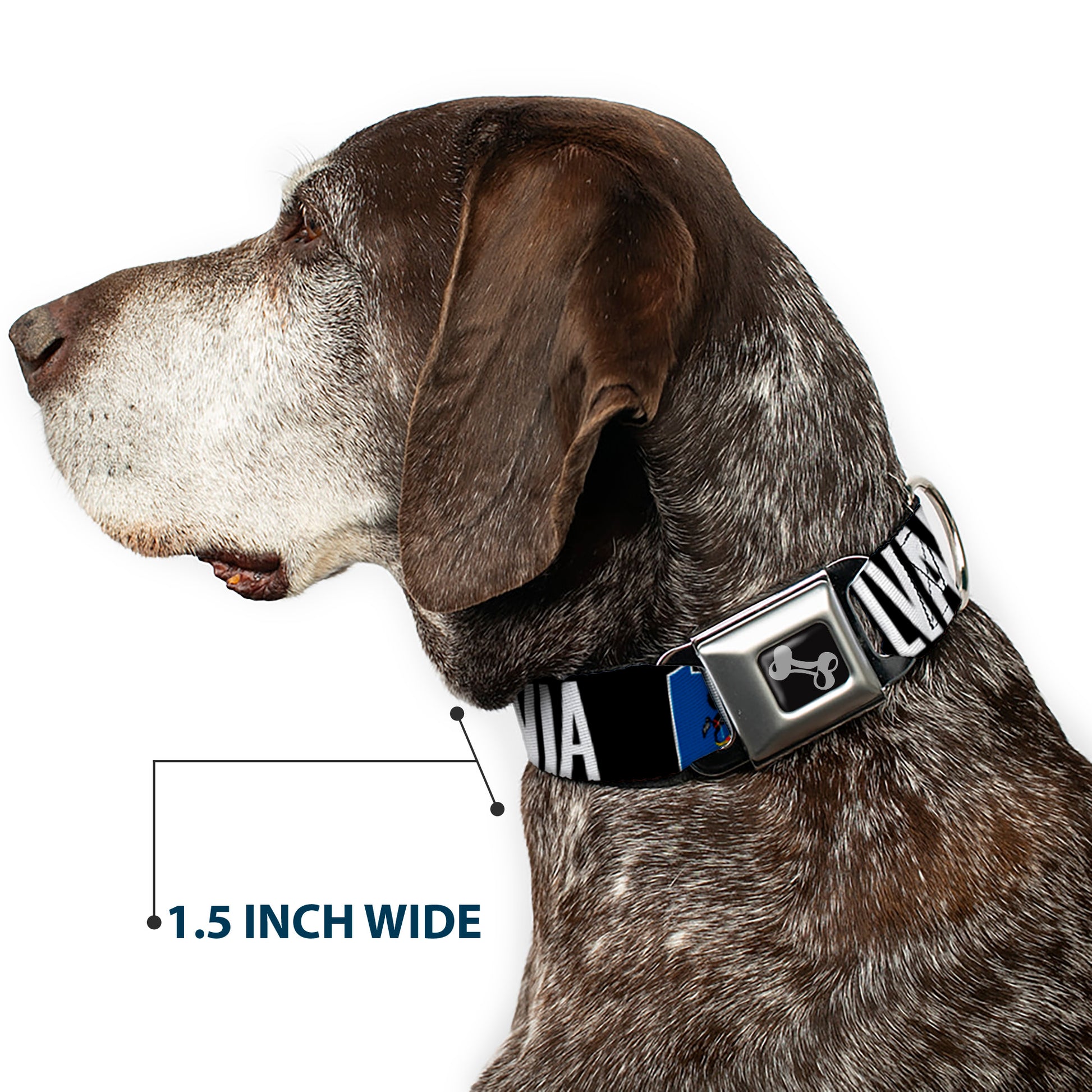 Dog Bone Seatbelt Buckle Collar - Pennsylvania Flag Silhouette WELCOME TO PENNSYLVANIA Seatbelt Buckle Collars Buckle-Down