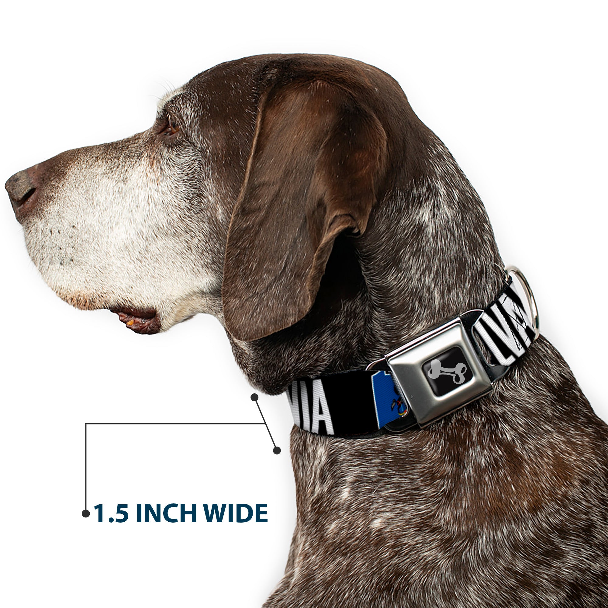 Dog Bone Seatbelt Buckle Collar - Pennsylvania Flag Silhouette WELCOME TO PENNSYLVANIA Seatbelt Buckle Collars Buckle-Down