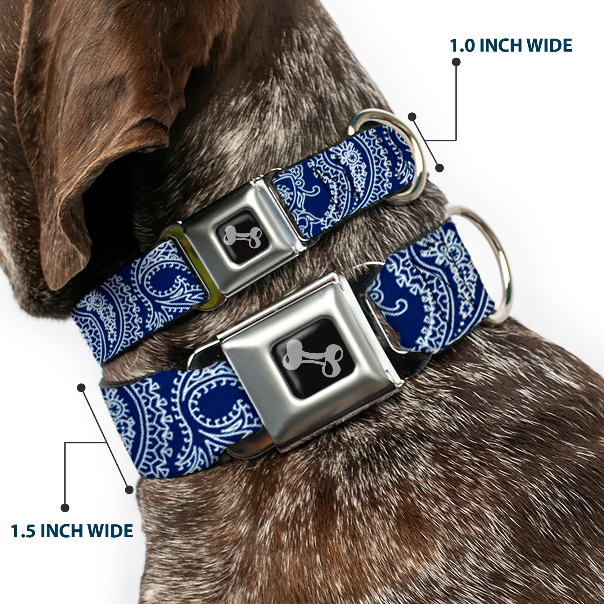 Dog Bone Seatbelt Buckle Collar - Paisley Blue/White Seatbelt Buckle Collars Buckle-Down