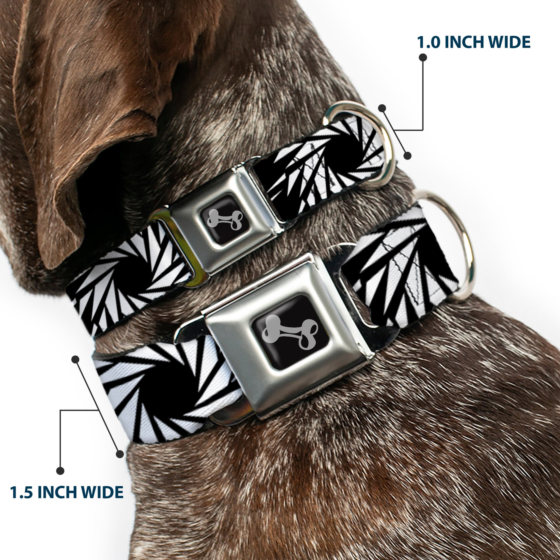 Dog Bone Seatbelt Buckle Collar - Pinwheel Black/White Seatbelt Buckle Collars Buckle-Down