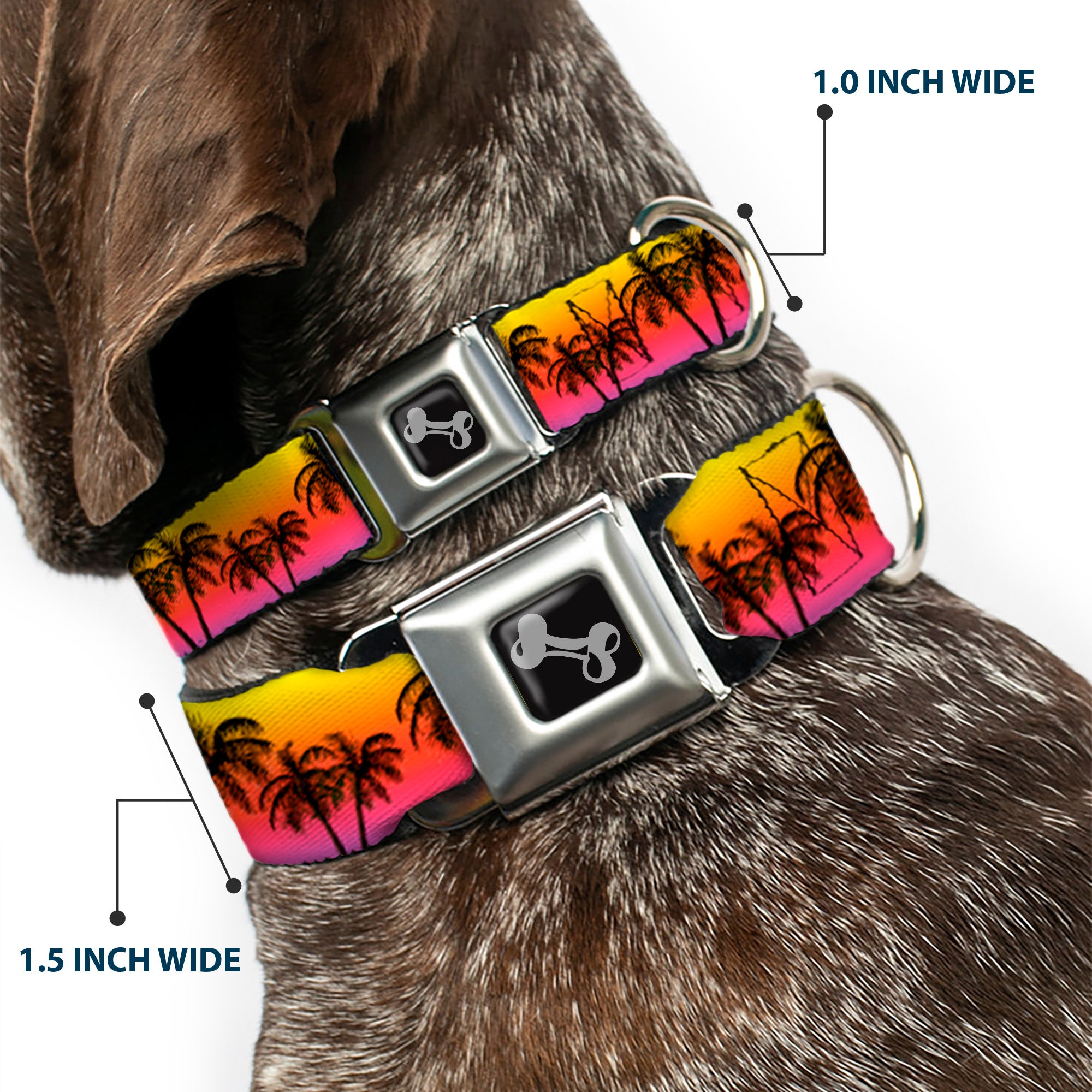 Dog Bone Seatbelt Buckle Collar - Palm Trees Sunset Fade/Black Seatbelt Buckle Collars Buckle-Down