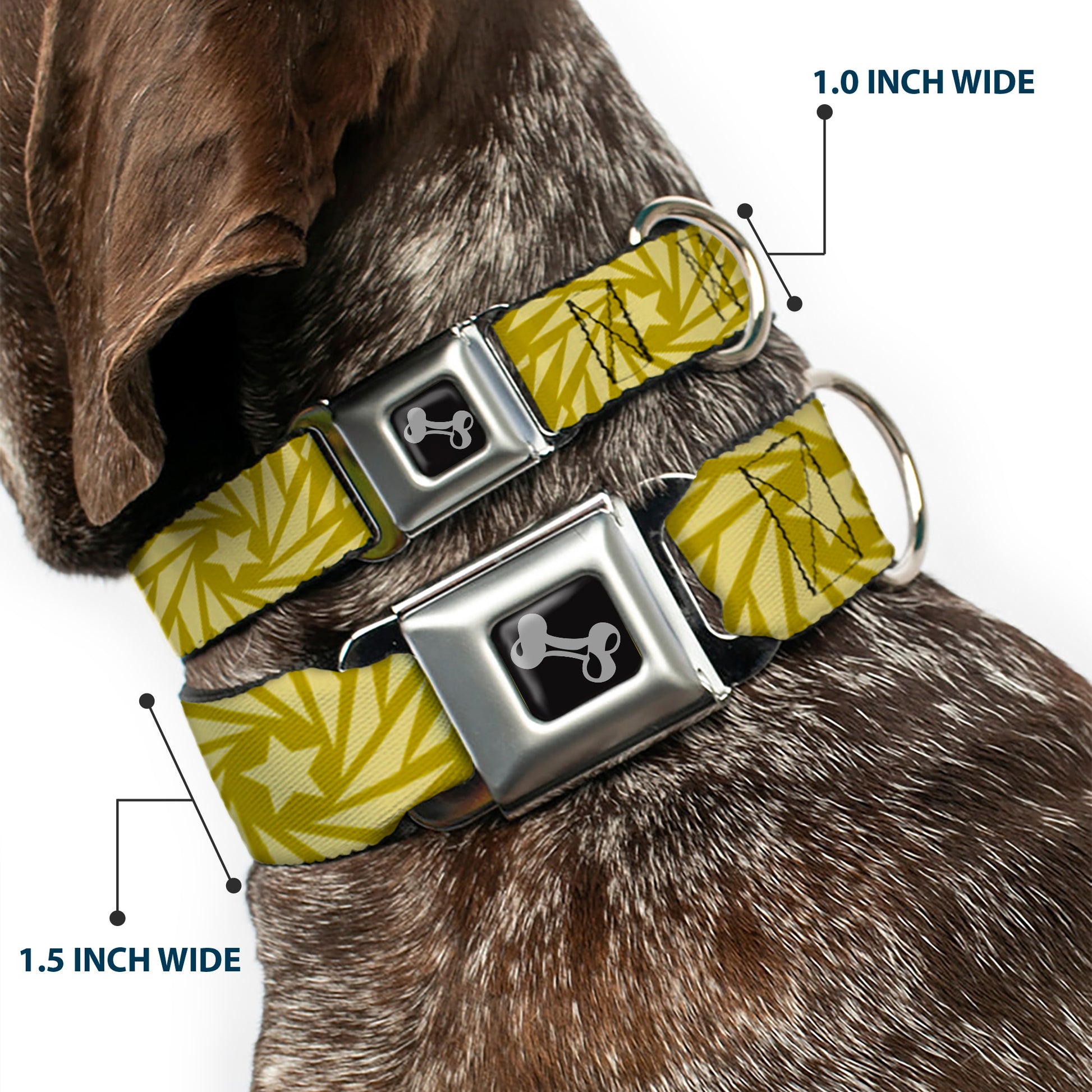 Dog Bone Seatbelt Buckle Collar - Pinwheel Star Olive Green/Beige Seatbelt Buckle Collars Buckle-Down