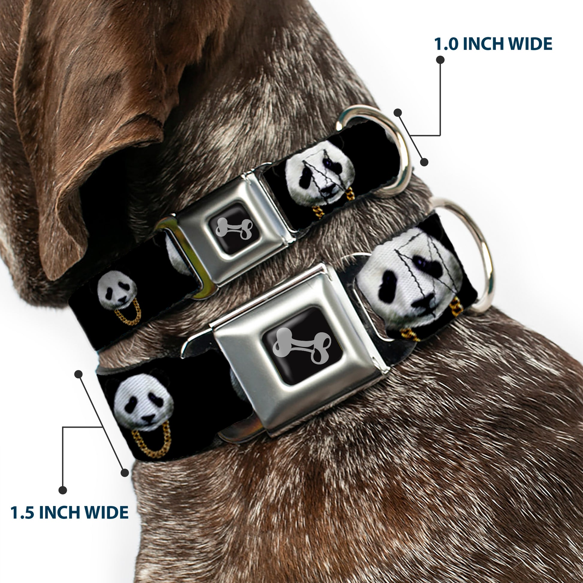 Dog Bone Seatbelt Buckle Collar - Panda w/Gold Chain Black Seatbelt Buckle Collars Buckle-Down