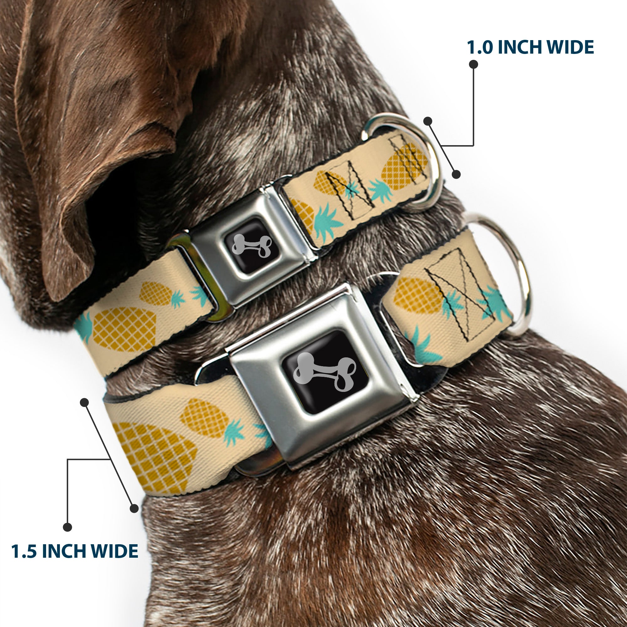 Dog Bone Seatbelt Buckle Collar - Pineapples Rotating Tan Seatbelt Buckle Collars Buckle-Down