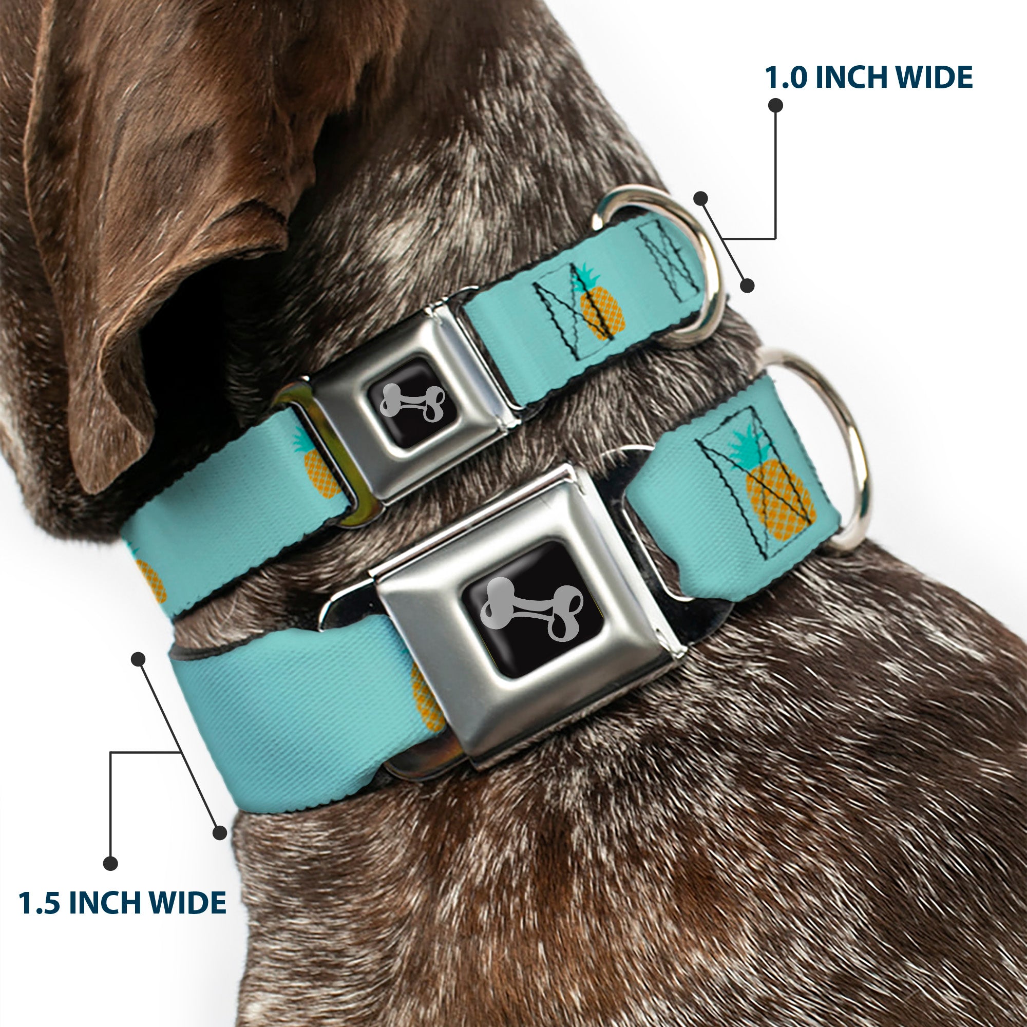 Dog Bone Seatbelt Buckle Collar - Pineapple Repeat Aqua Blue Seatbelt Buckle Collars Buckle-Down