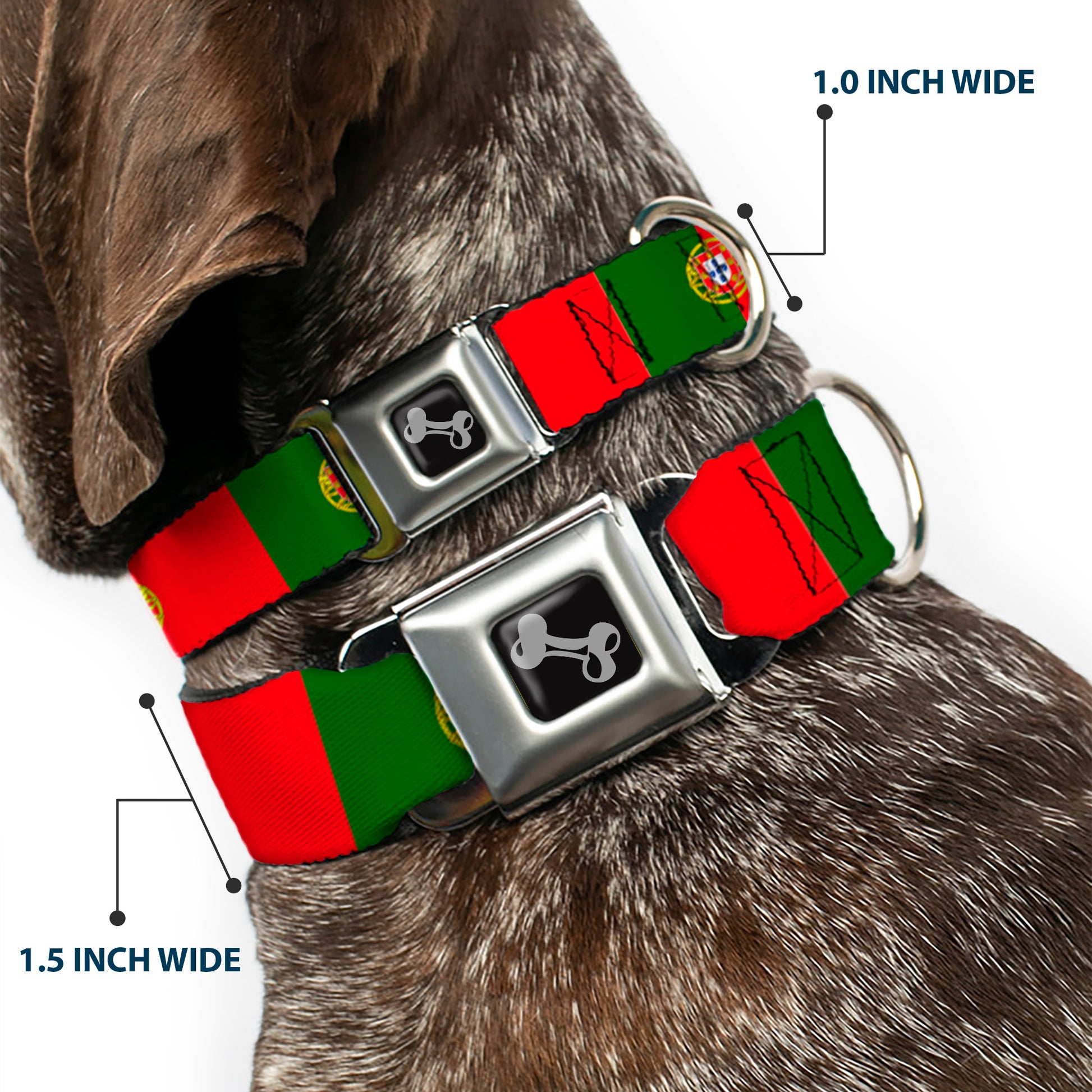 Dog Bone Black/Silver Seatbelt Buckle Collar - Portugal Flag Green/Red Seatbelt Buckle Collars Buckle-Down