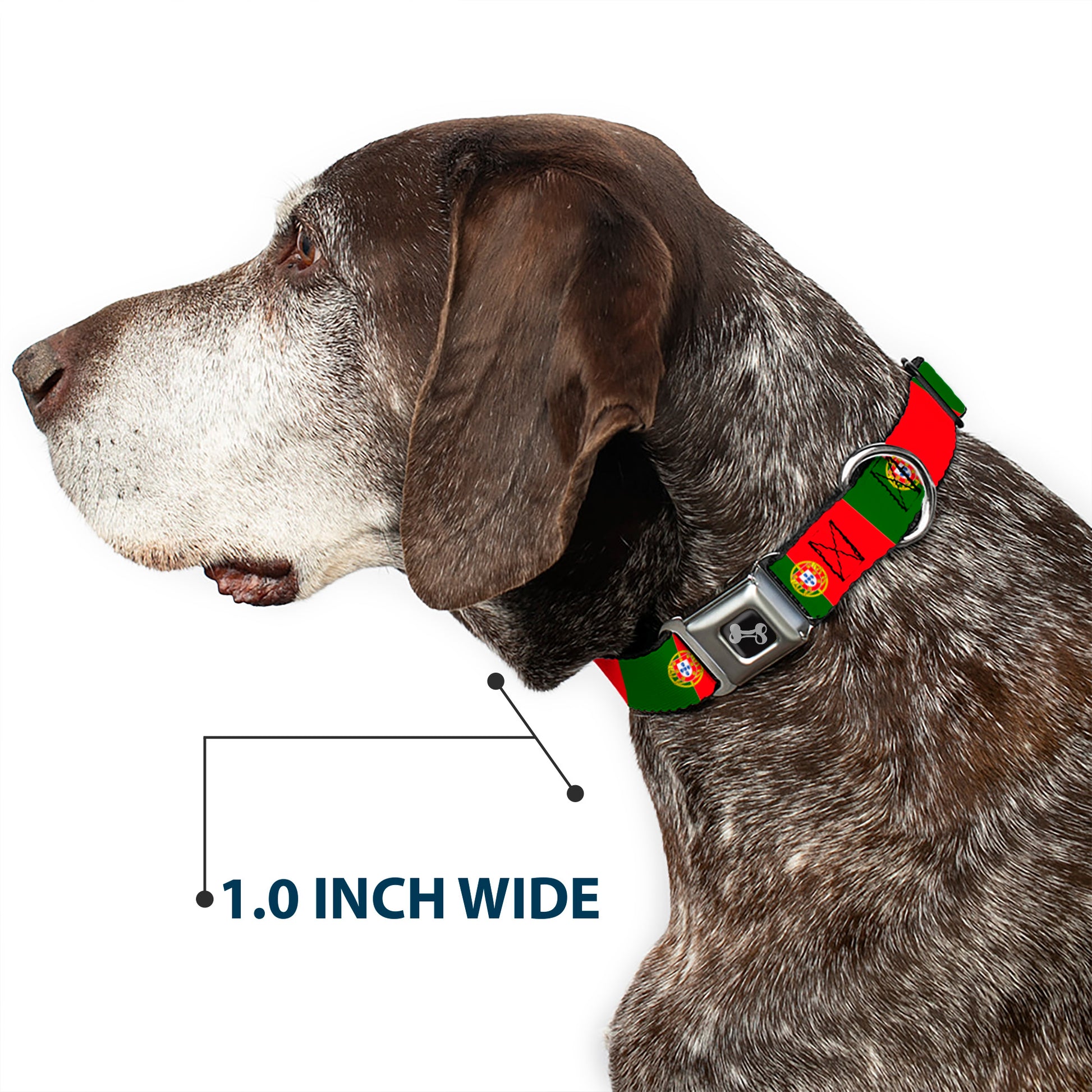 Dog Bone Black/Silver Seatbelt Buckle Collar - Portugal Flag Green/Red Seatbelt Buckle Collars Buckle-Down