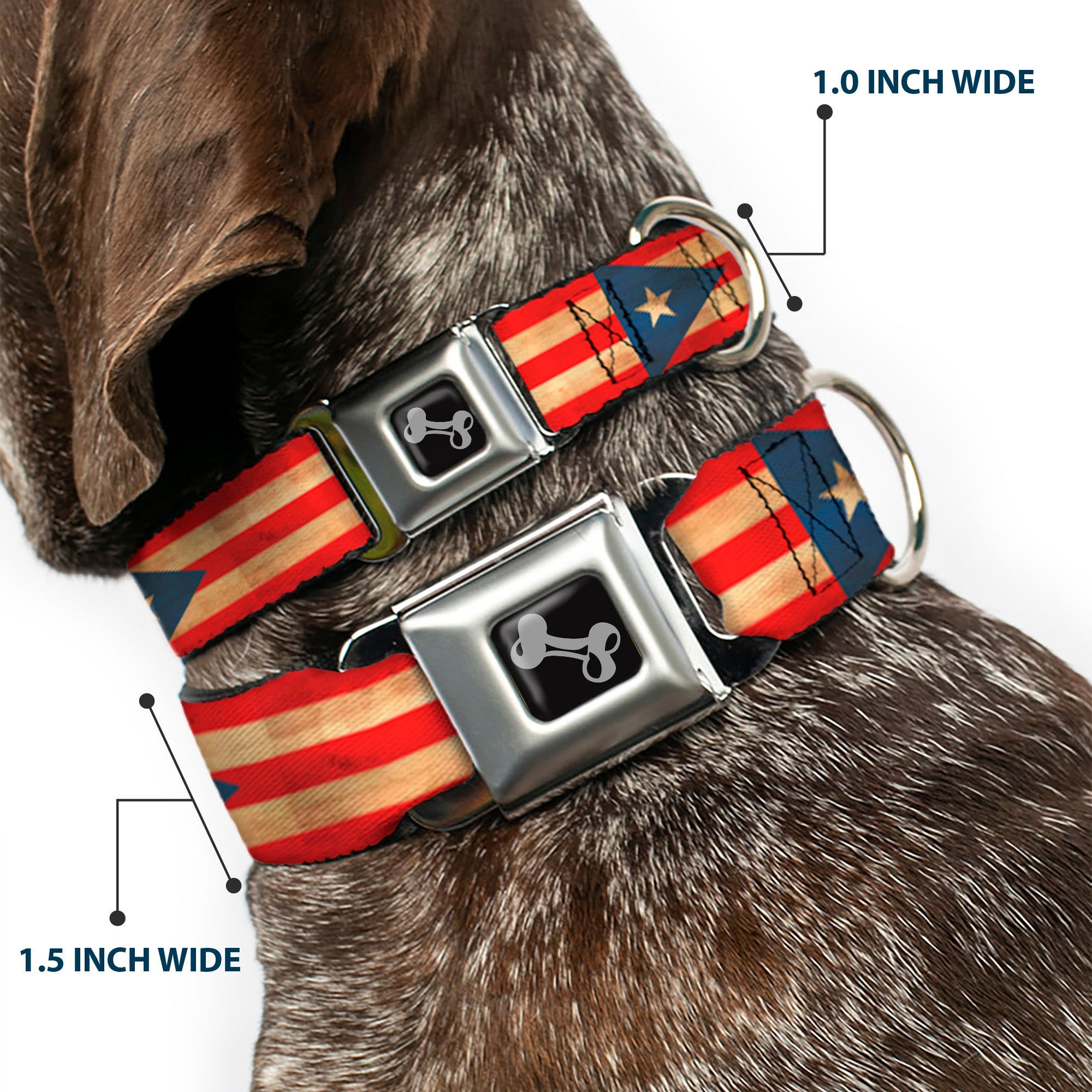 Dog Bone Black/Silver Seatbelt Buckle Collar - Puerto Rico Flag Continuous Vintage Seatbelt Buckle Collars Buckle-Down
