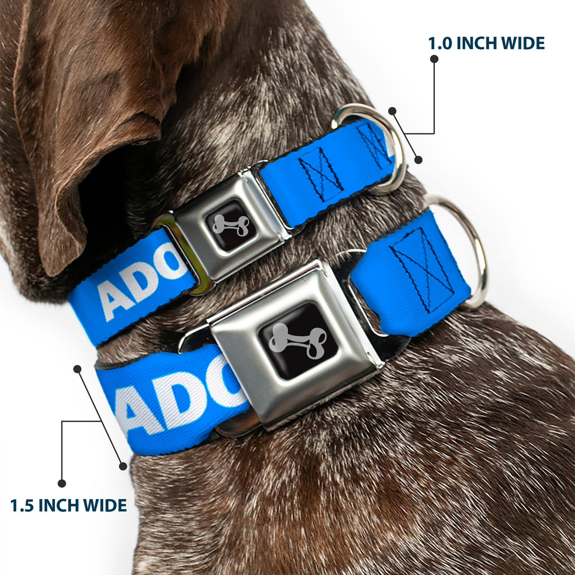 Dog Bone Black/Silver Seatbelt Buckle Collar - Pet Quote ADOPT DON'T SHOP Blue/White Seatbelt Buckle Collars Buckle-Down
