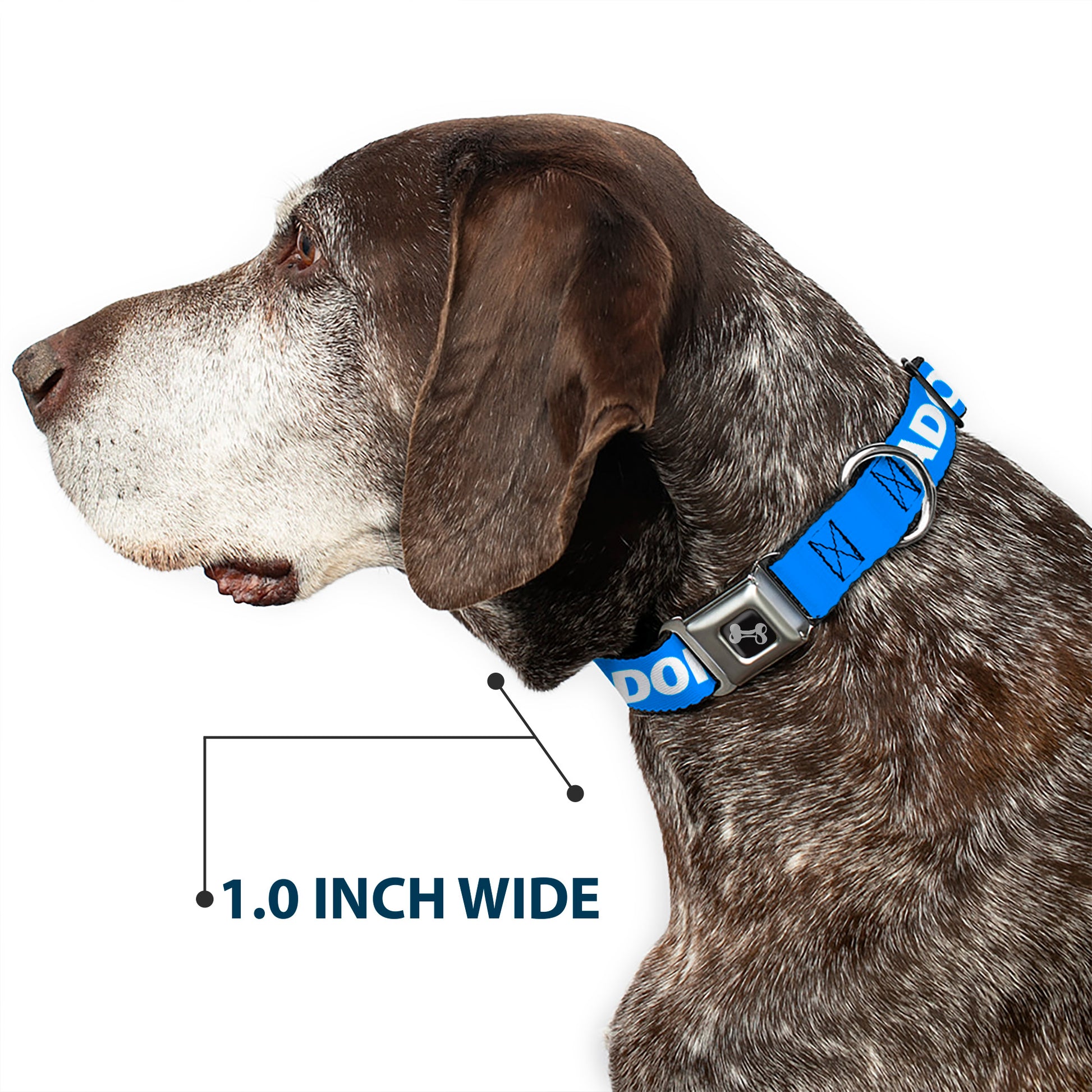 Dog Bone Black/Silver Seatbelt Buckle Collar - Pet Quote ADOPT DON'T SHOP Blue/White Seatbelt Buckle Collars Buckle-Down