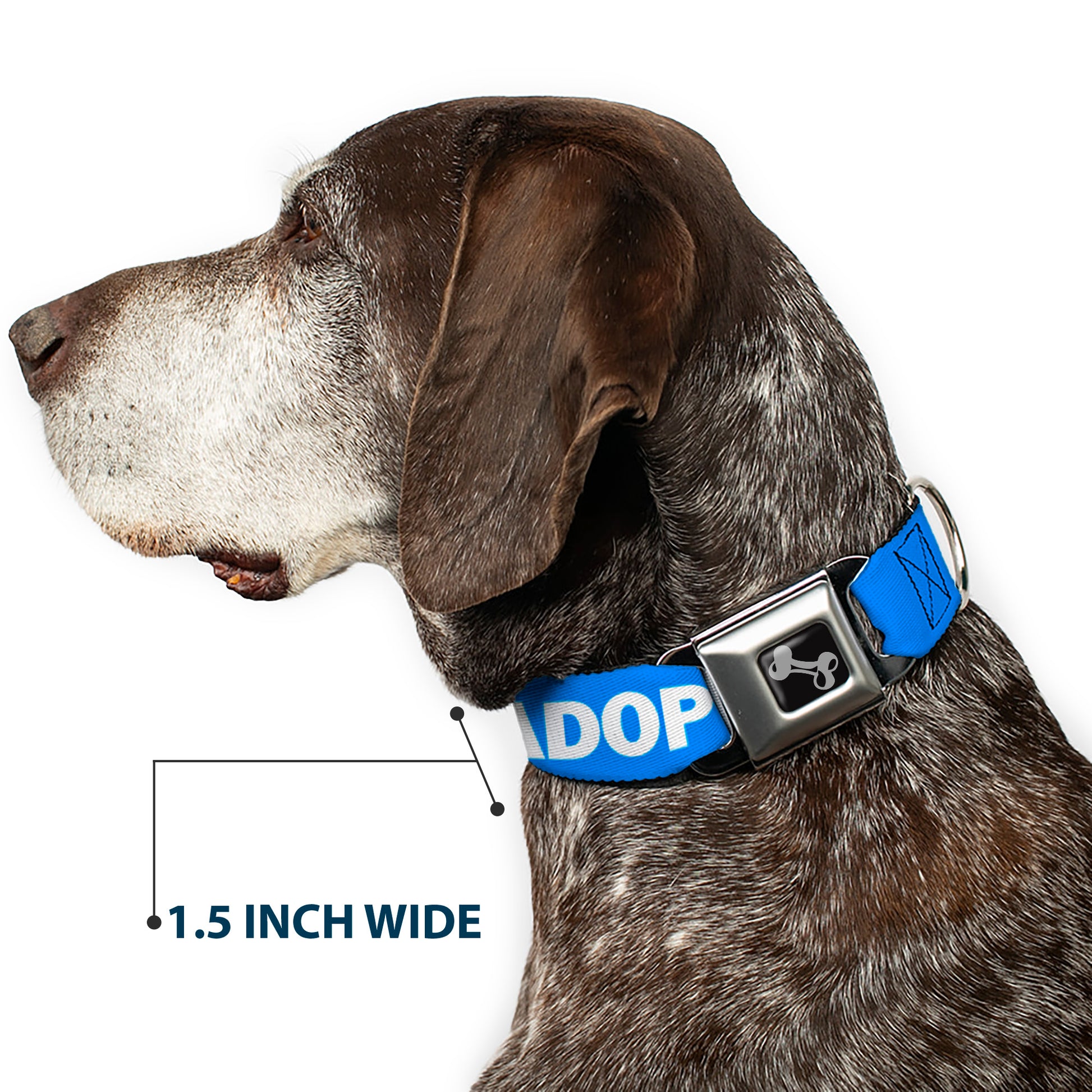 Dog Bone Black/Silver Seatbelt Buckle Collar - Pet Quote ADOPT DON'T SHOP Blue/White Seatbelt Buckle Collars Buckle-Down