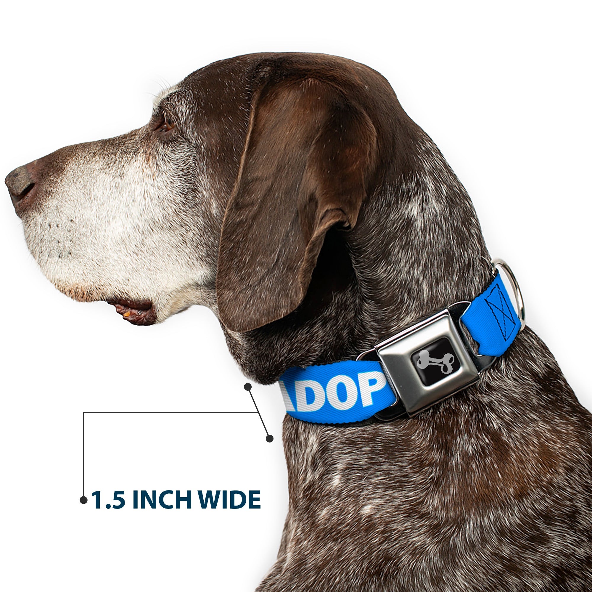 Dog Bone Black/Silver Seatbelt Buckle Collar - Pet Quote ADOPT DON'T SHOP Blue/White Seatbelt Buckle Collars Buckle-Down