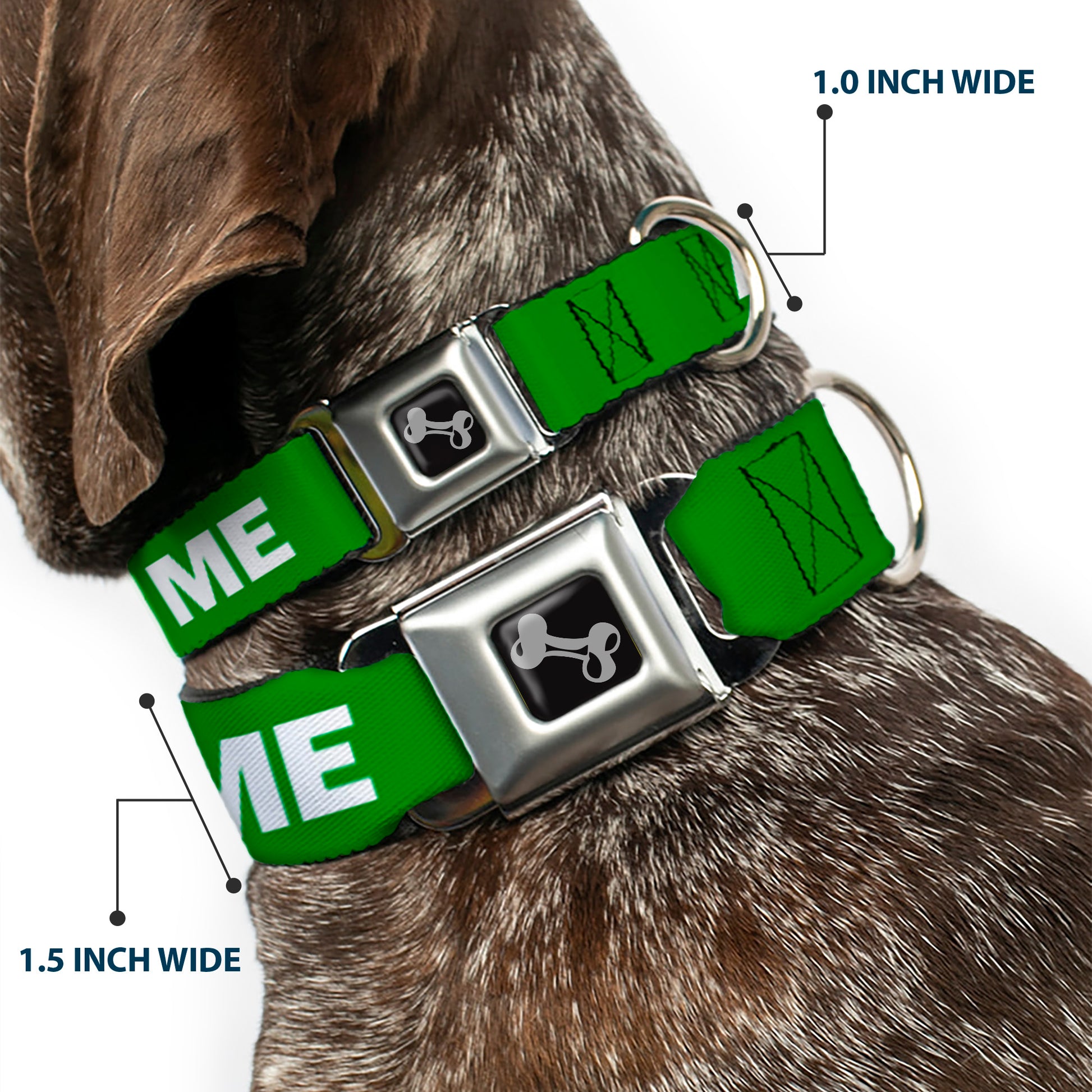 Dog Bone Black/Silver Seatbelt Buckle Collar - Pet Quote ADOPT ME Green/White Seatbelt Buckle Collars Buckle-Down