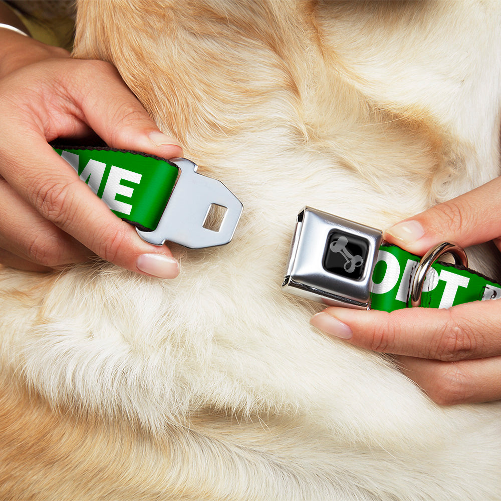 Dog Bone Black/Silver Seatbelt Buckle Collar - Pet Quote ADOPT ME Green/White Seatbelt Buckle Collars Buckle-Down