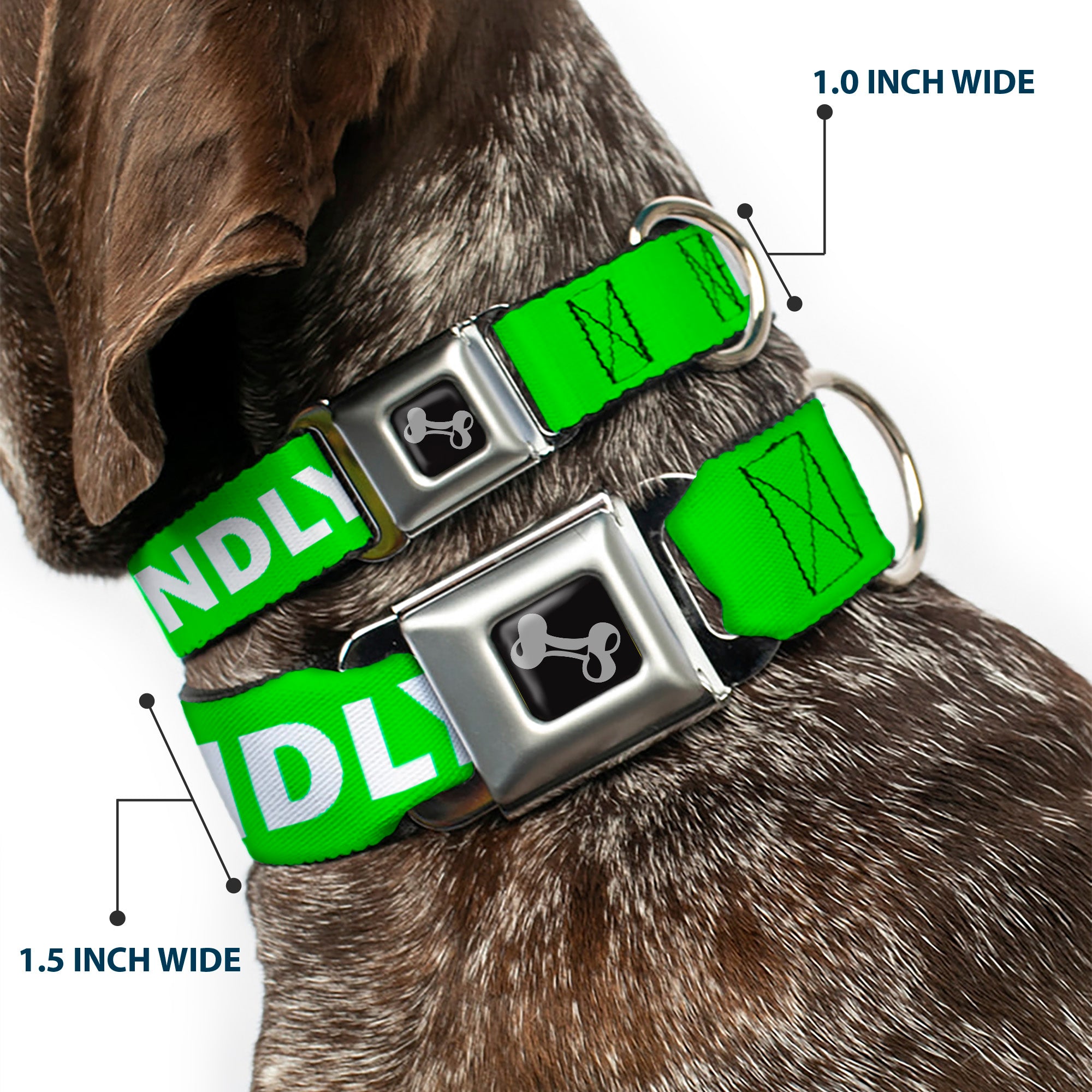 Dog Bone Black/Silver Seatbelt Buckle Collar - Pet Quote FRIENDLY Green/White Seatbelt Buckle Collars Buckle-Down