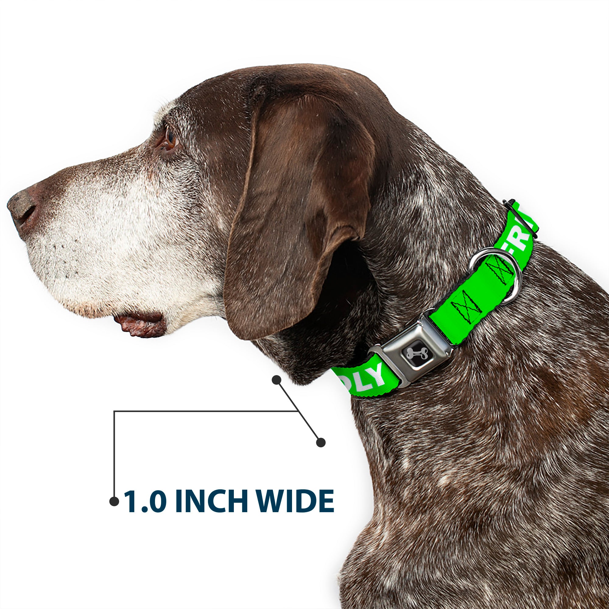 Dog Bone Black/Silver Seatbelt Buckle Collar - Pet Quote FRIENDLY Green/White Seatbelt Buckle Collars Buckle-Down