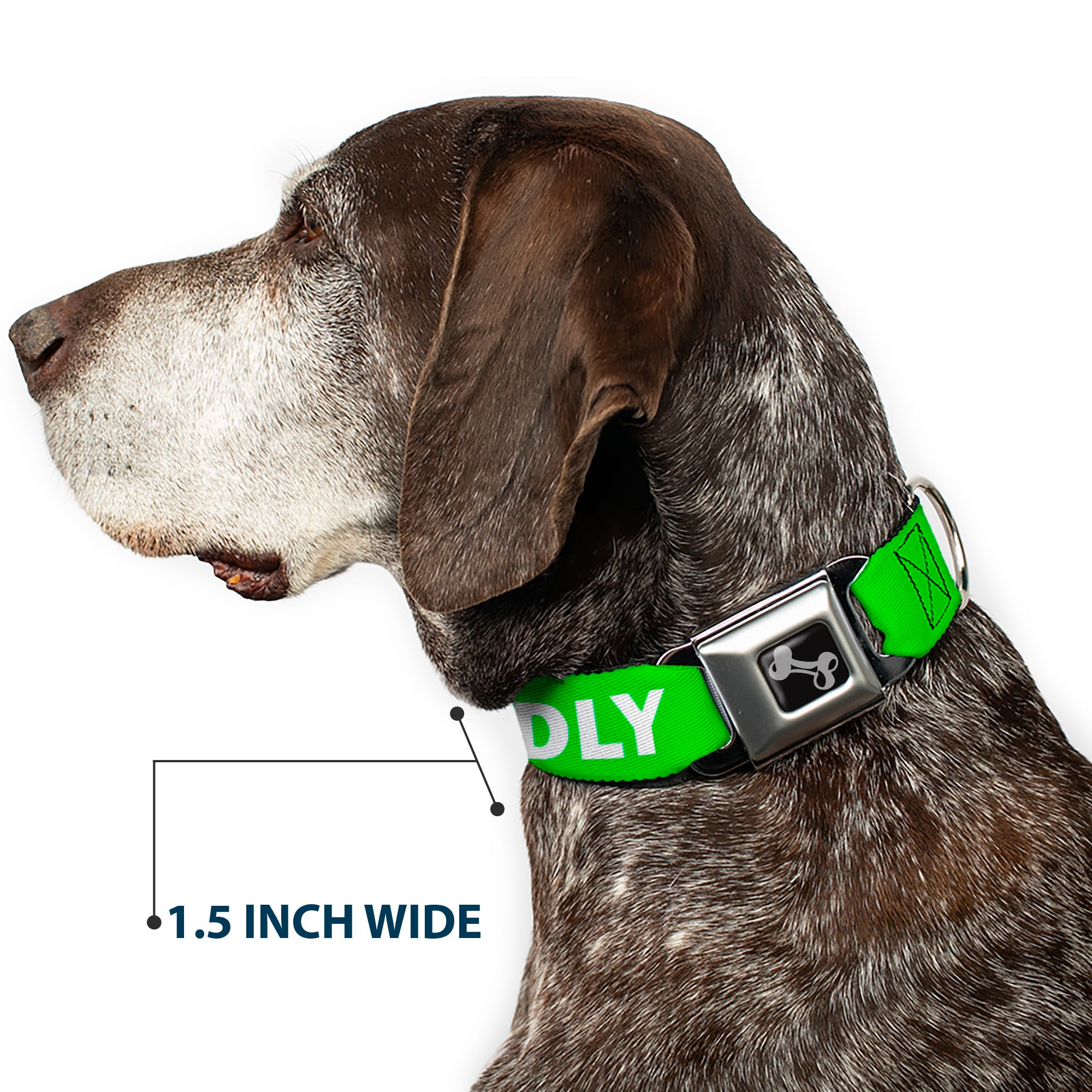 Dog Bone Black/Silver Seatbelt Buckle Collar - Pet Quote FRIENDLY Green/White Seatbelt Buckle Collars Buckle-Down