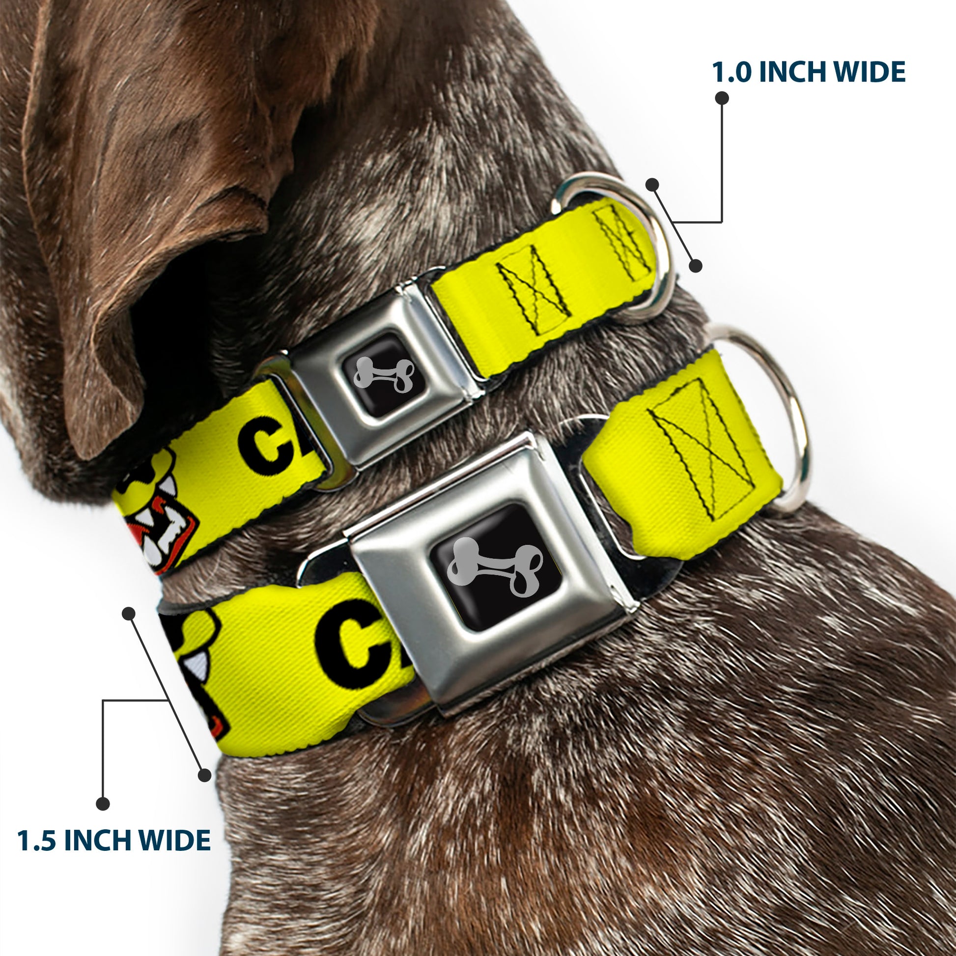 Dog Bone Black/Silver Seatbelt Buckle Collar - Pet Quote CAUTION I BITE/Dog Growl Yellow/Black Seatbelt Buckle Collars Buckle-Down