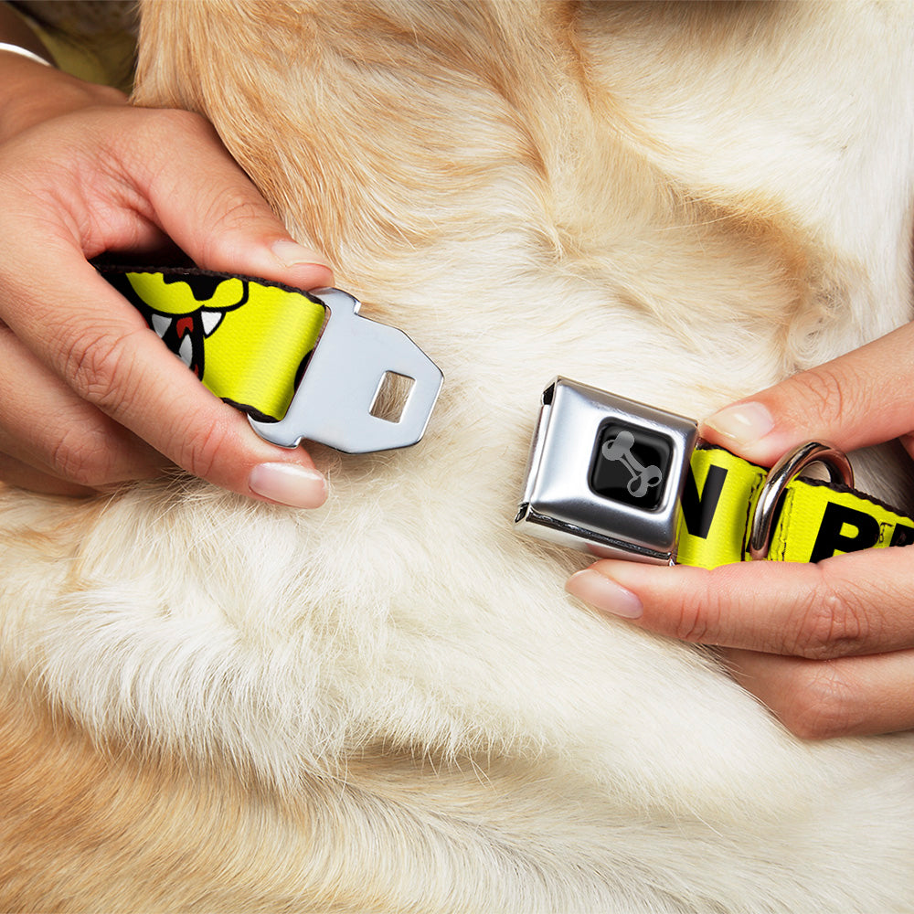 Dog Bone Black/Silver Seatbelt Buckle Collar - Pet Quote CAUTION I BITE/Dog Growl Yellow/Black Seatbelt Buckle Collars Buckle-Down